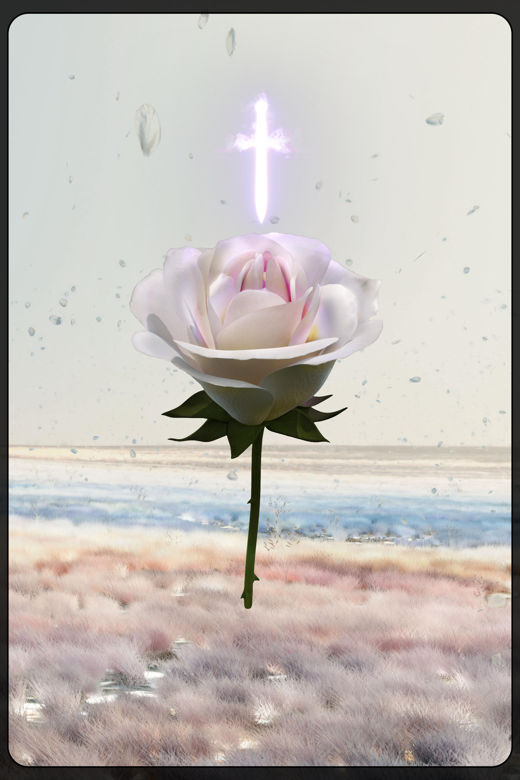 Eternal Rose 20