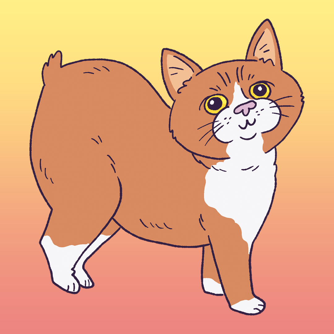 Manx #1267