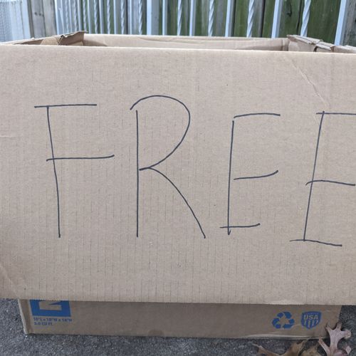 Free1 #171