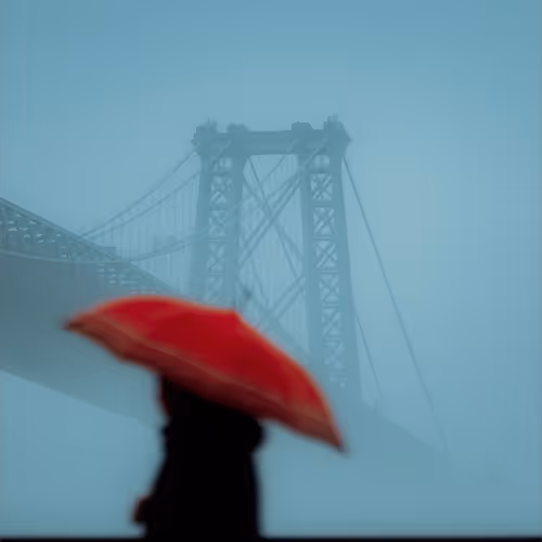 Beyond the Fog Lies Clarity