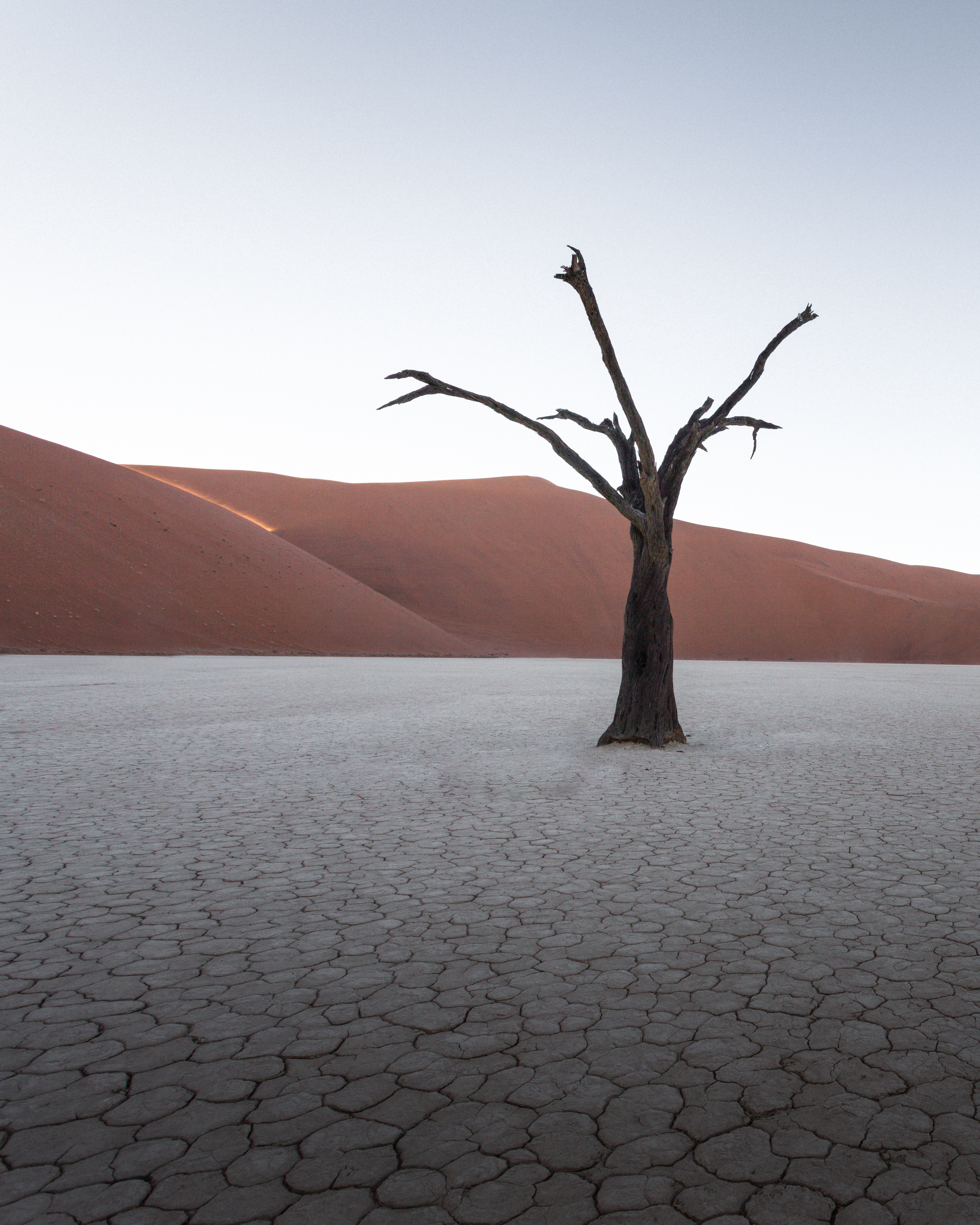 Drought #1/2