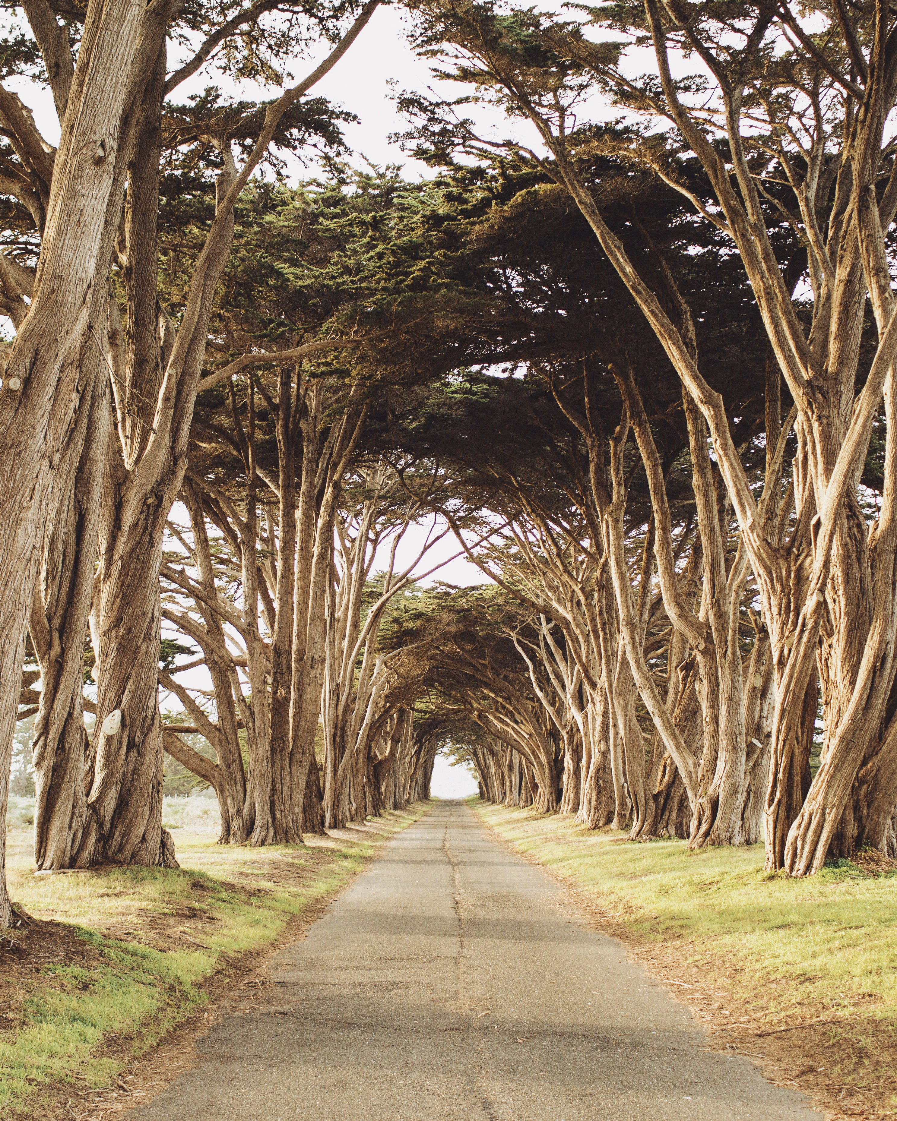 never ending