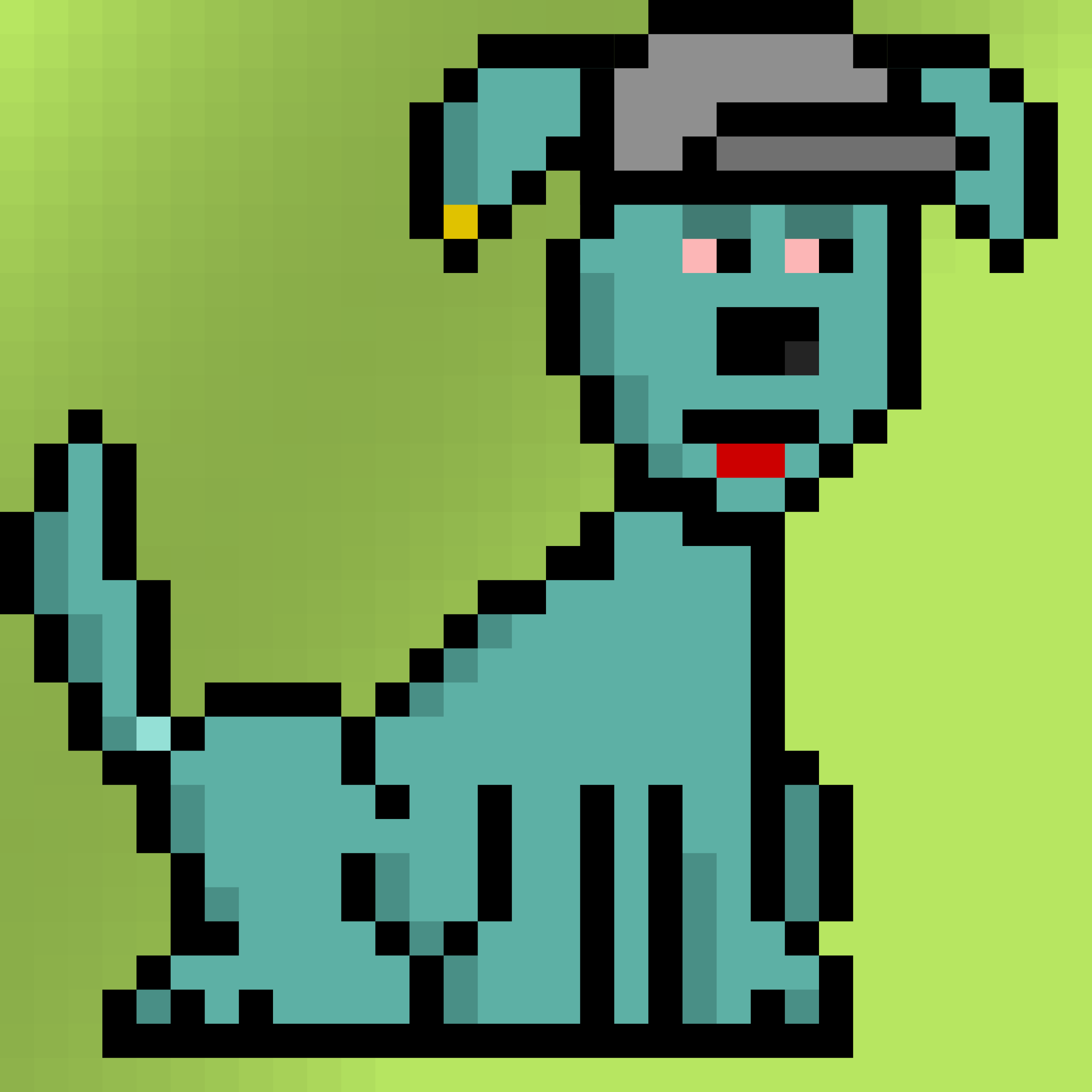 Dog #5