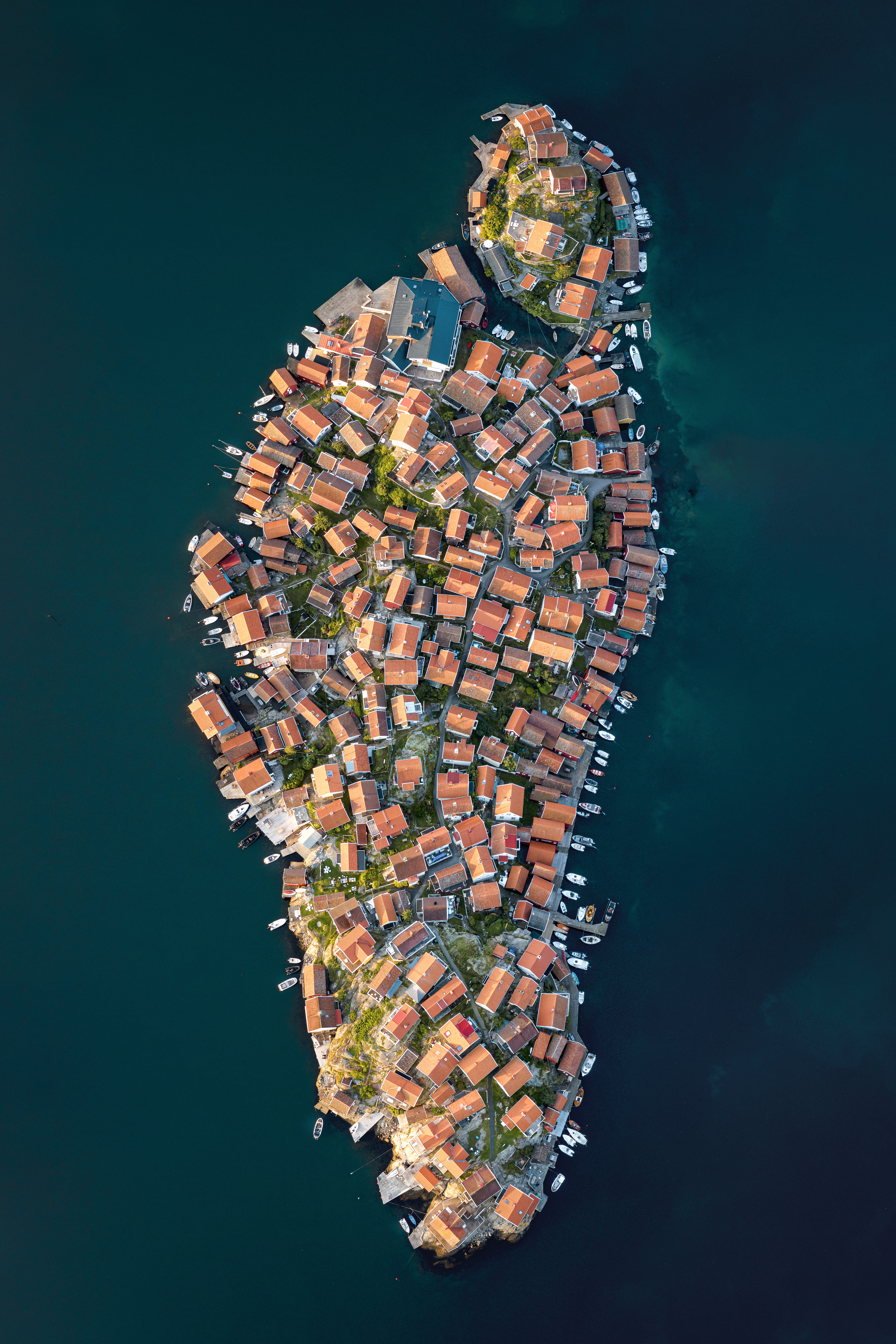 The island