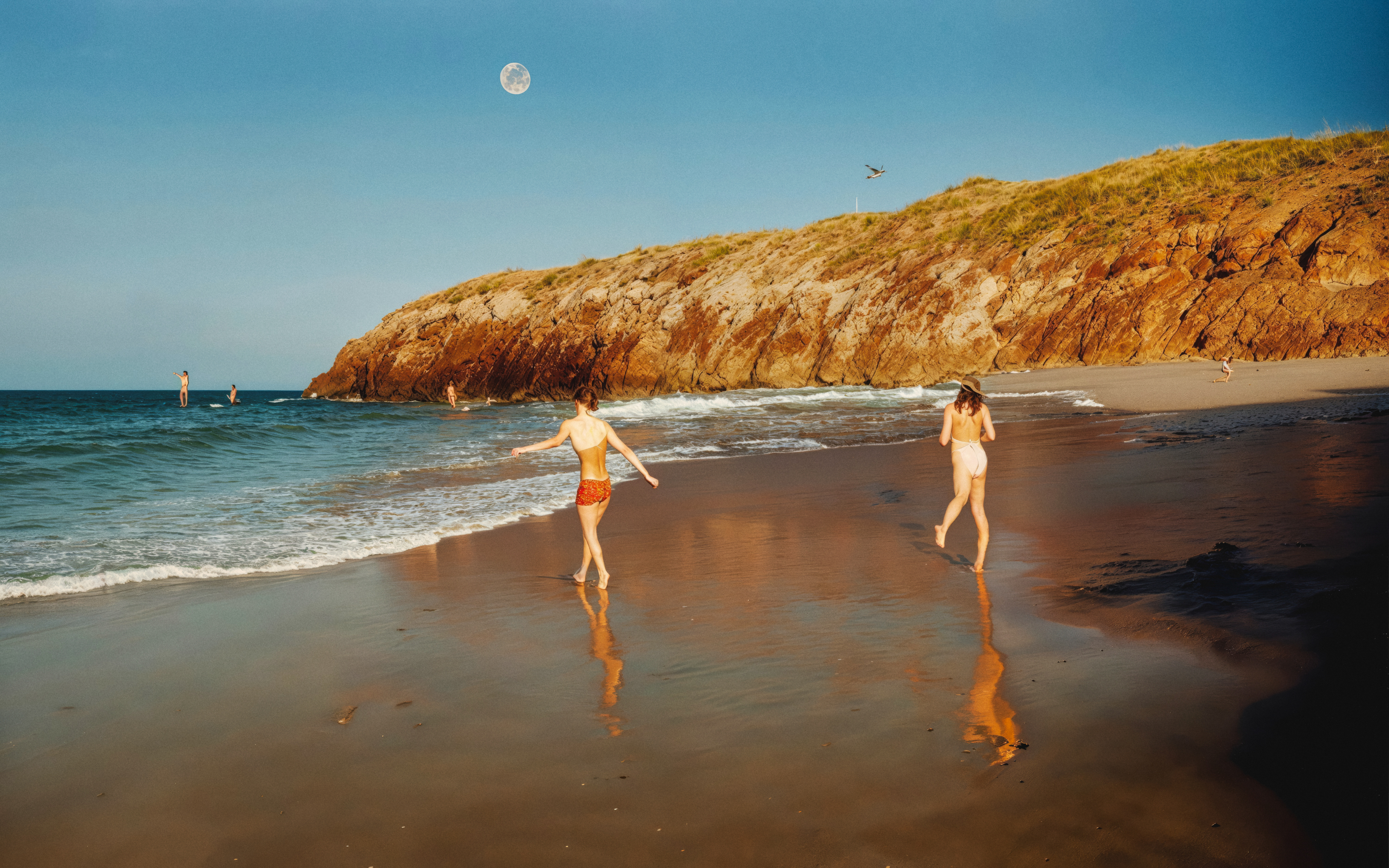 New Moon Rising