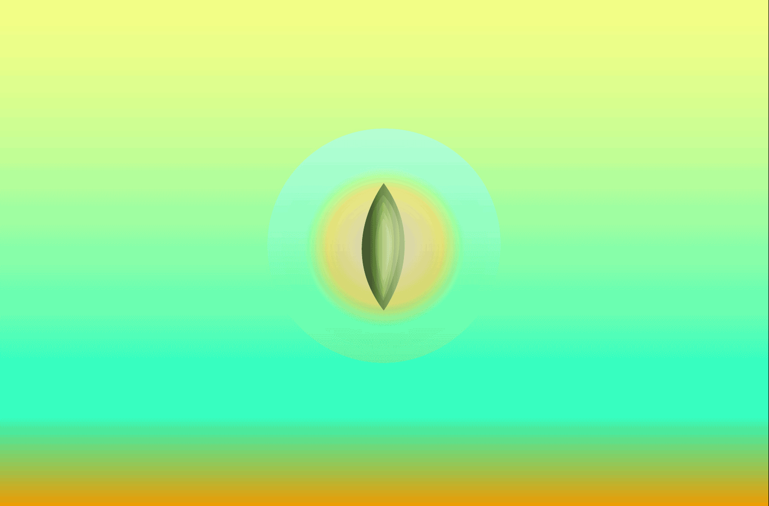 Ensan Olive Seed