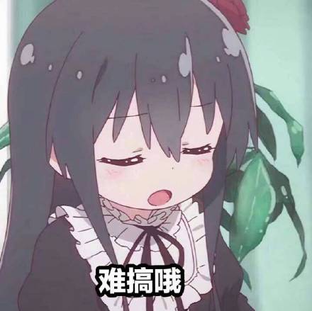 zzz40