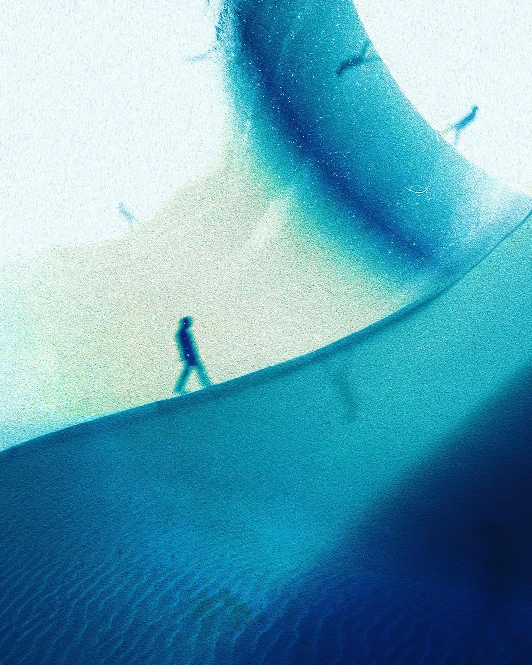 Trip