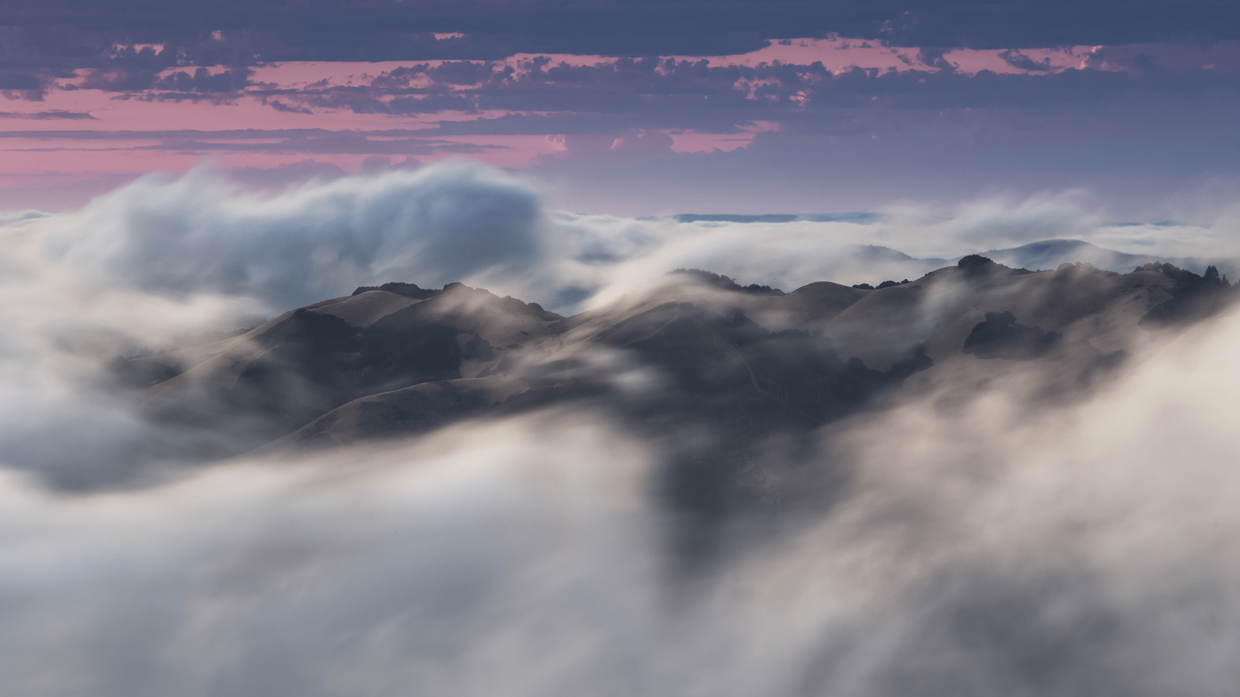 A Symphony of Fog #32