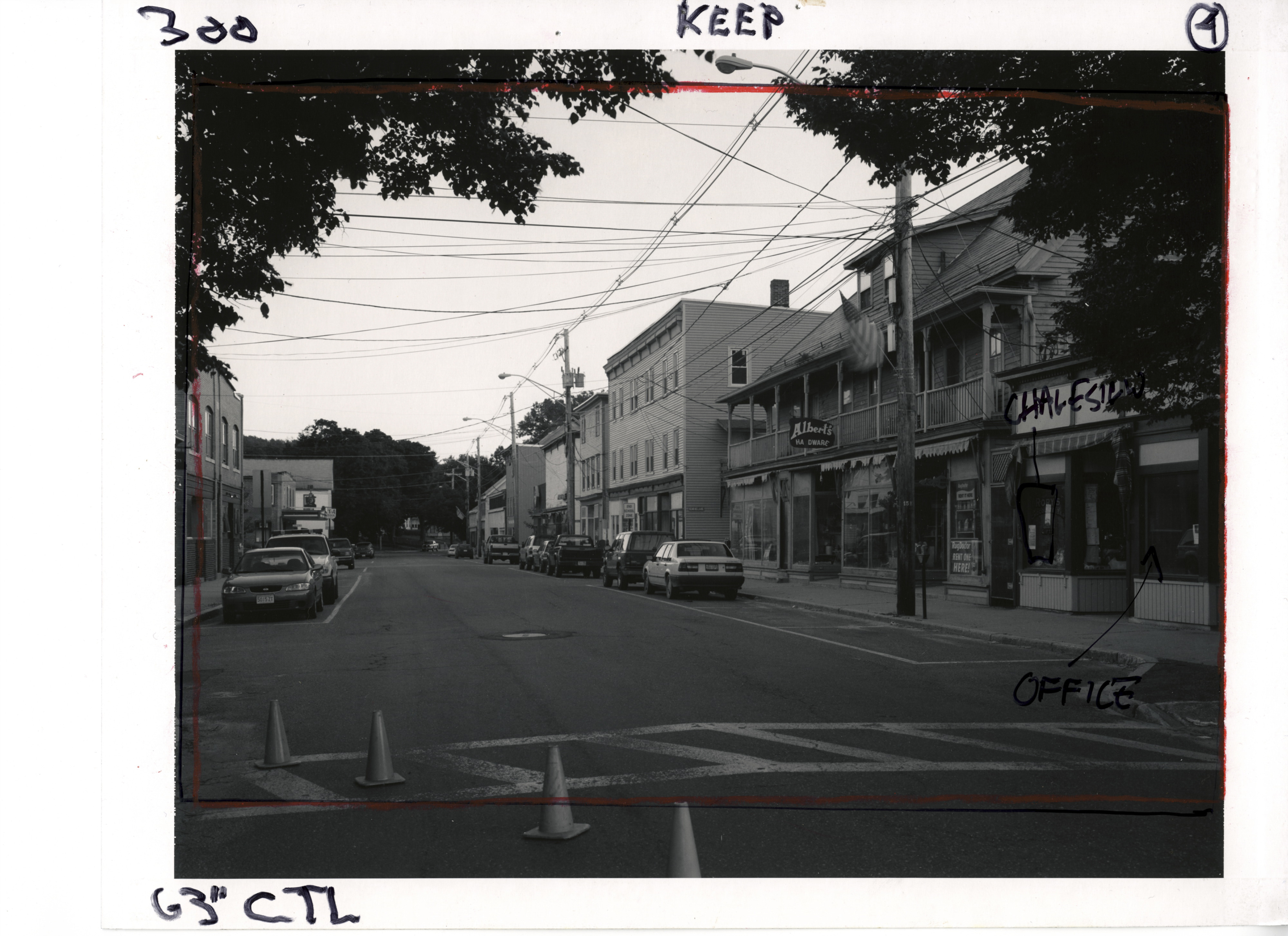 Beneath the Roses, 2003-2008 [Summer Rain Bundle] 8 x 10 Black and White Polaroid Study [No. 1]