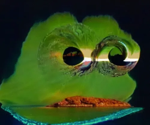 frog