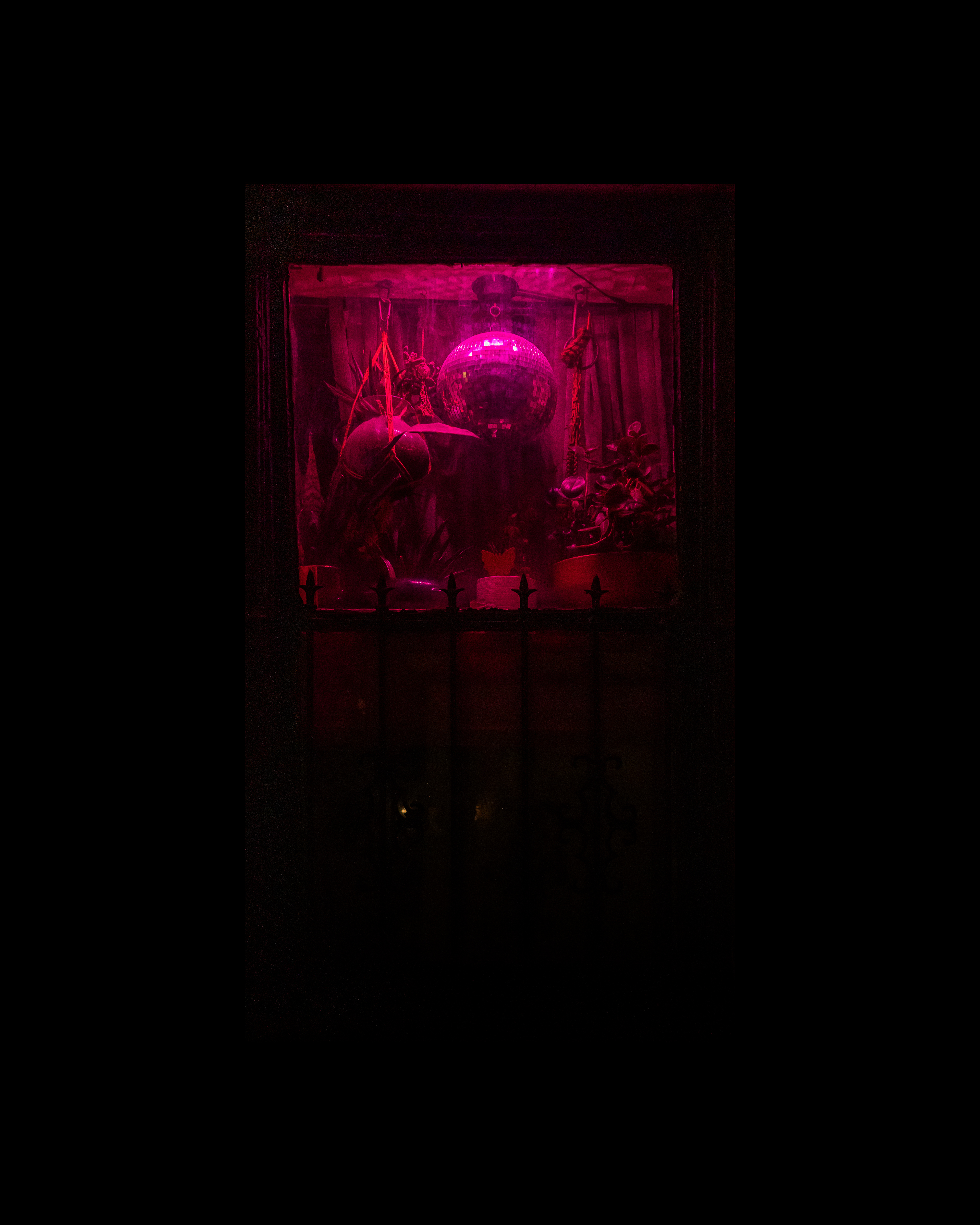 WINDOW 172
