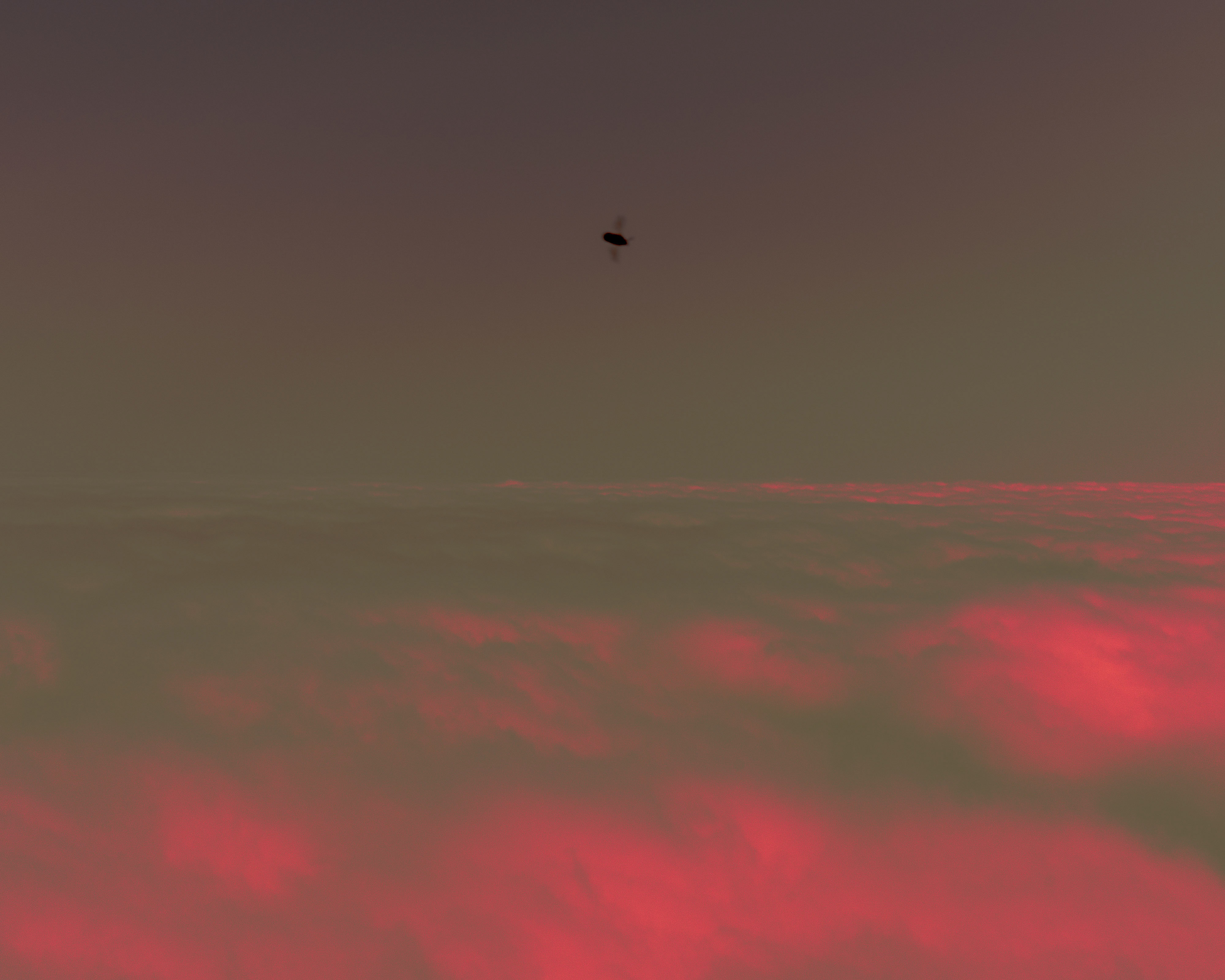 Level 1