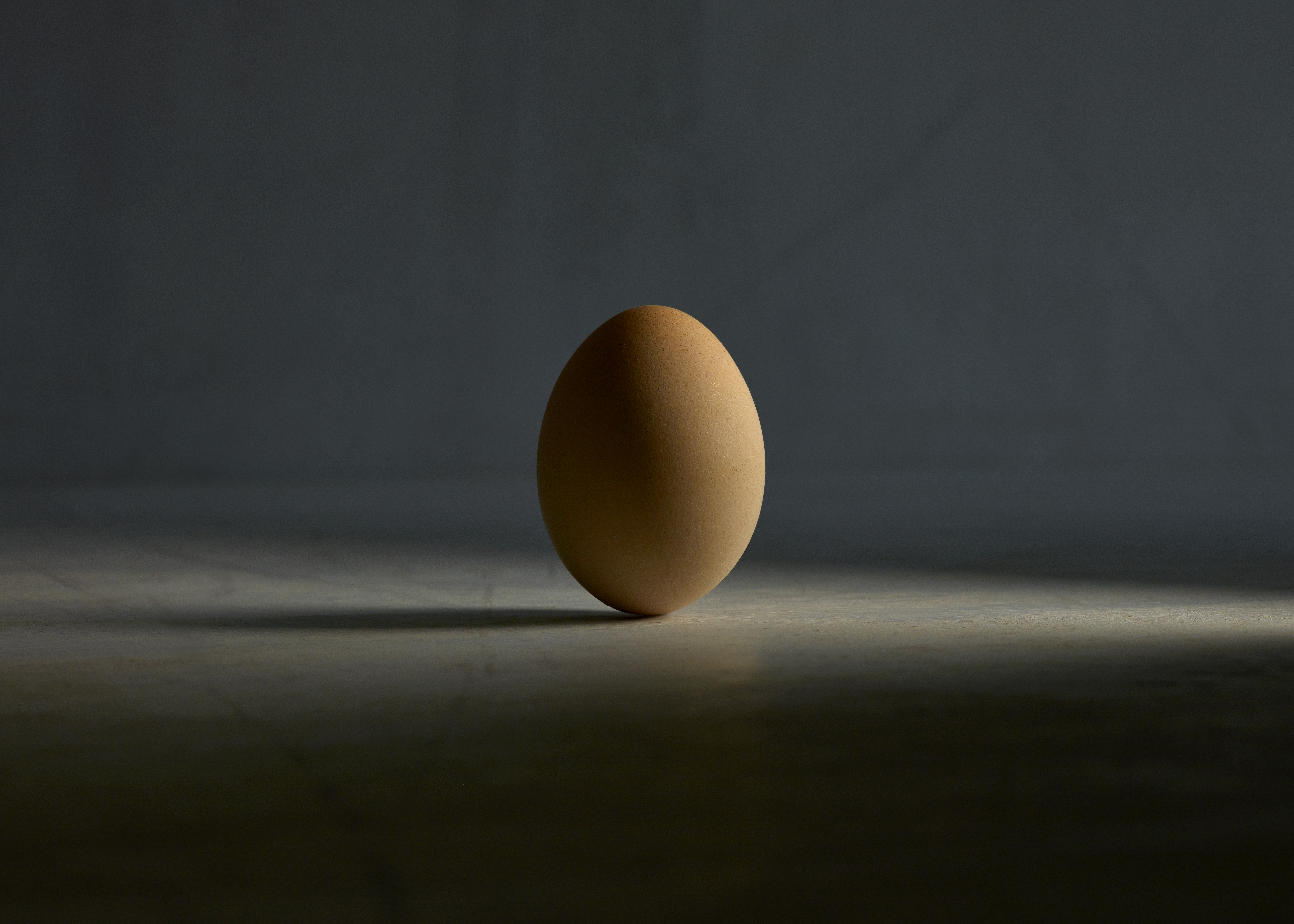 The Egg 1