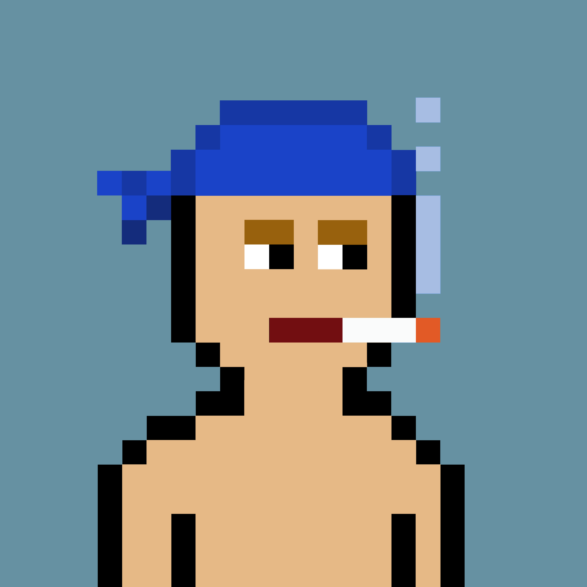 V0 Punk #1427
