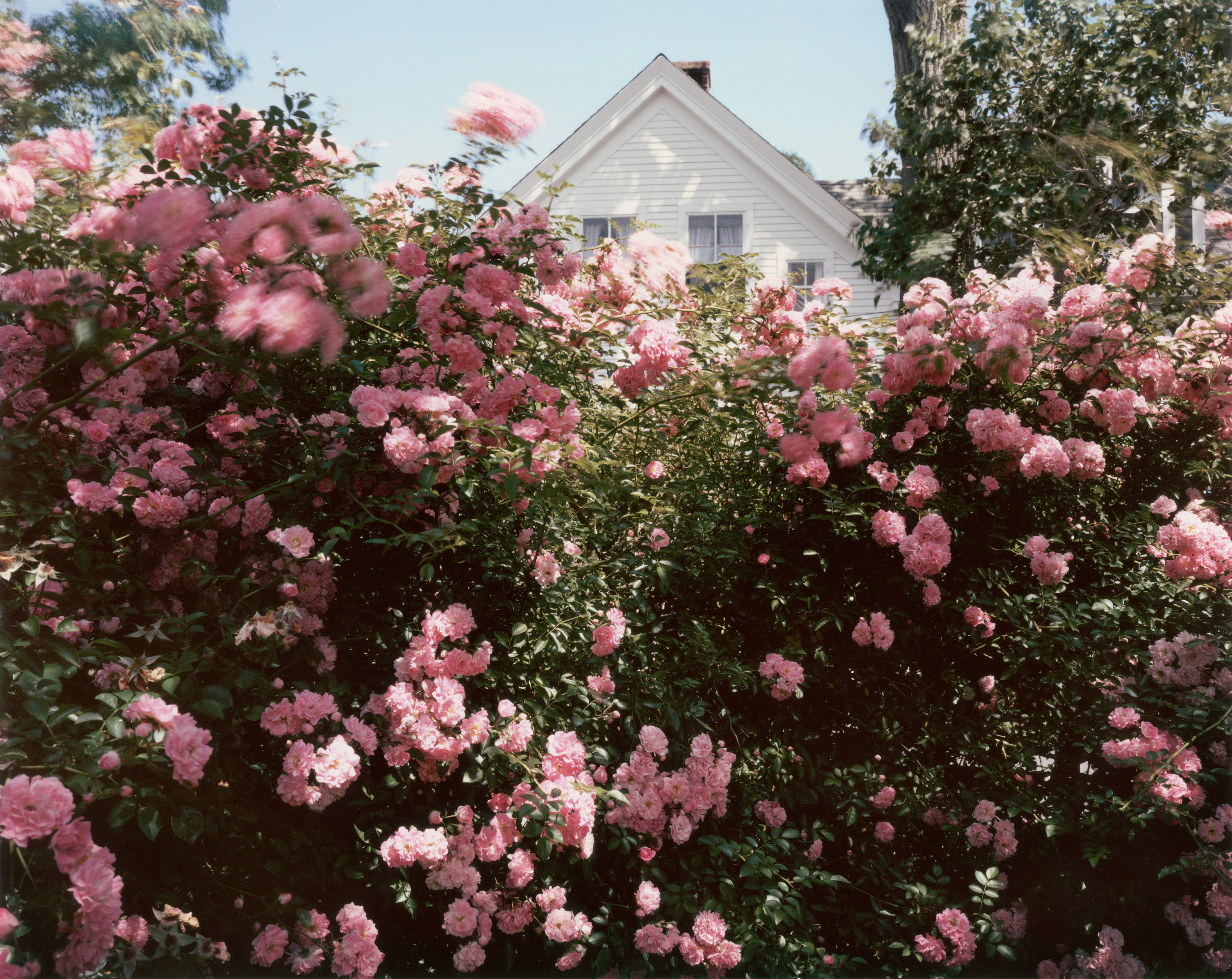 Provincetown, Massachusetts, 1983