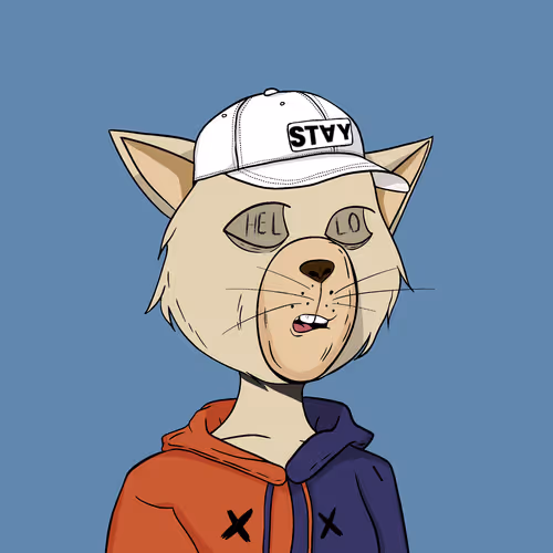 Stay Cats #4691
