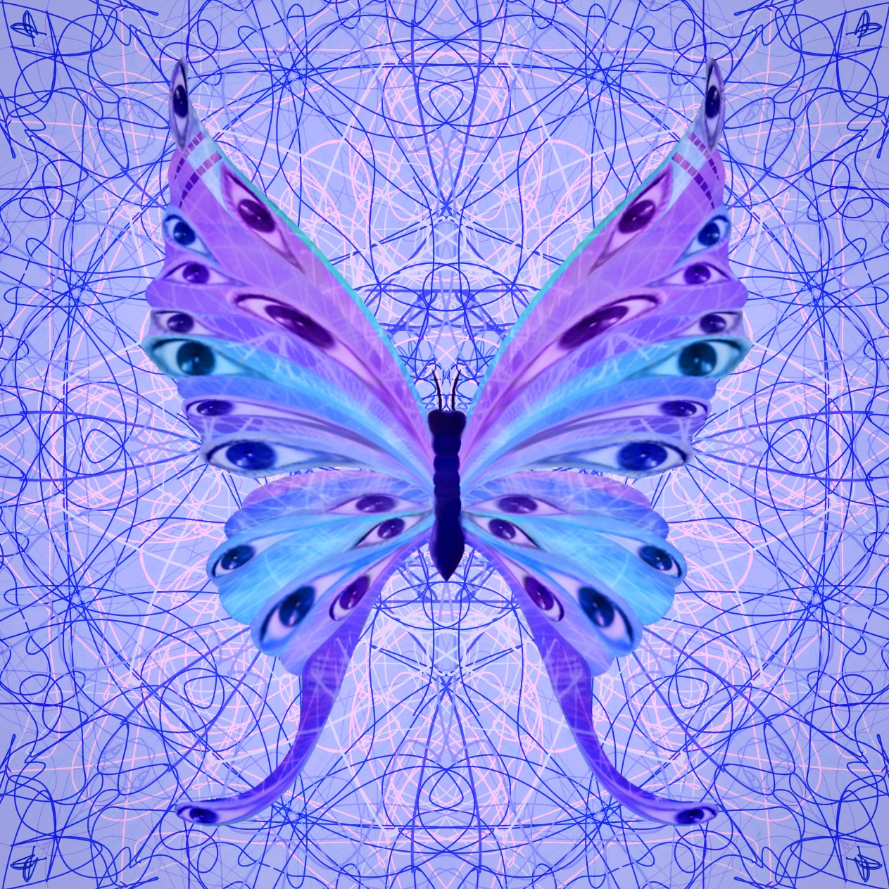 The Butterfleye Emerges
