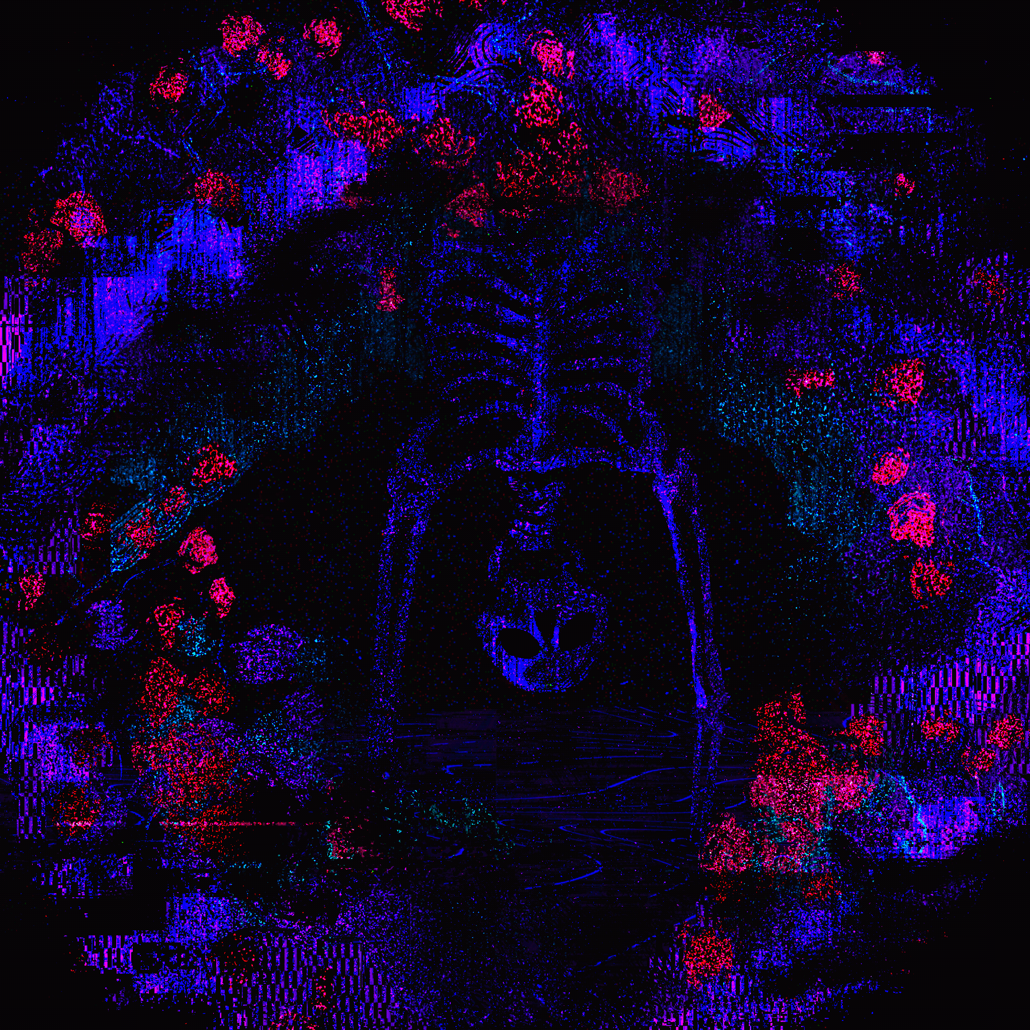 The Lost Garden