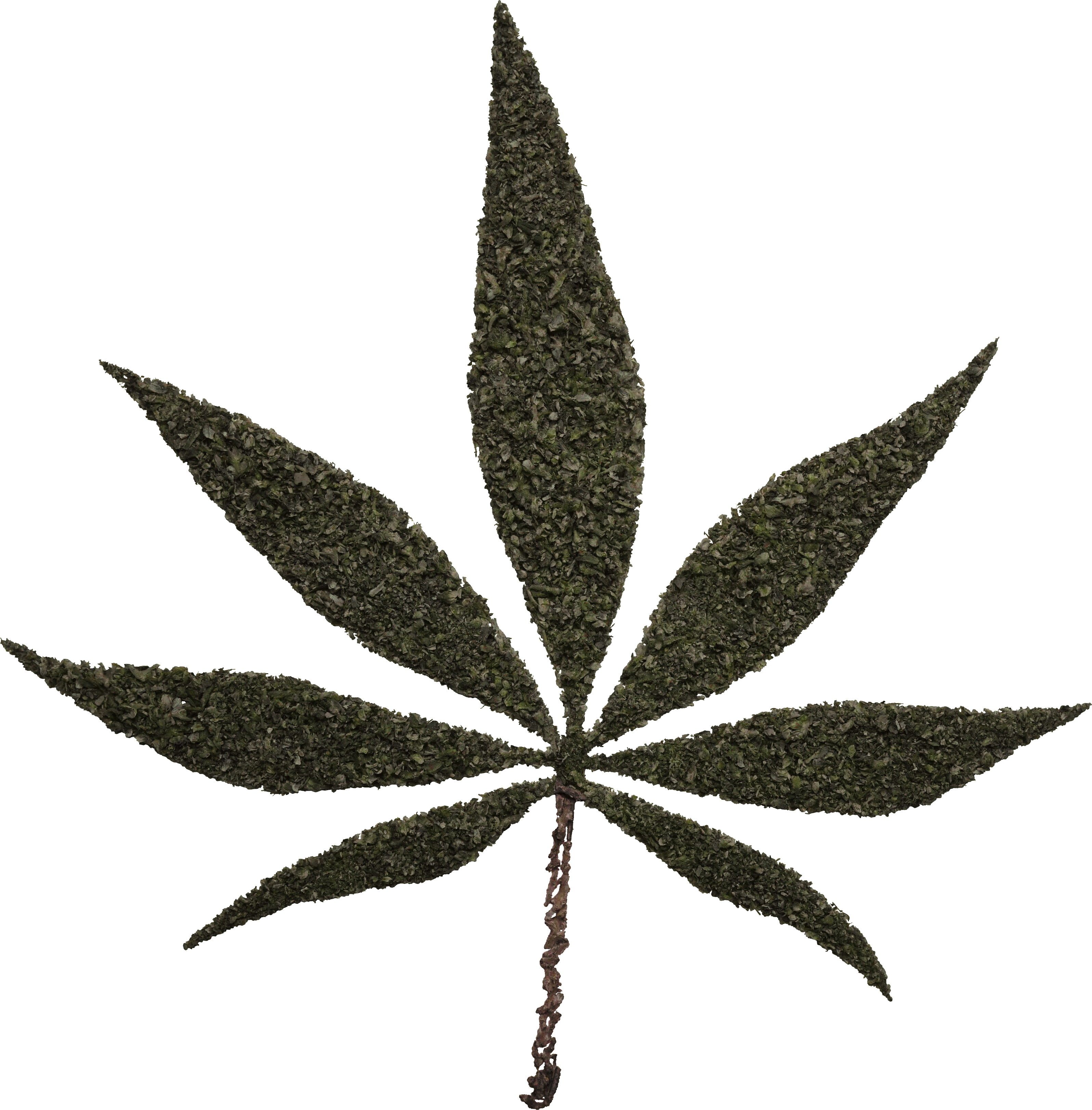 weed