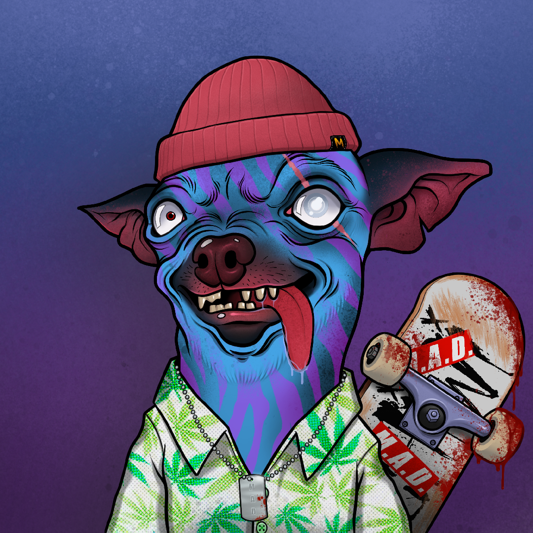 Mad Chihuahua #30