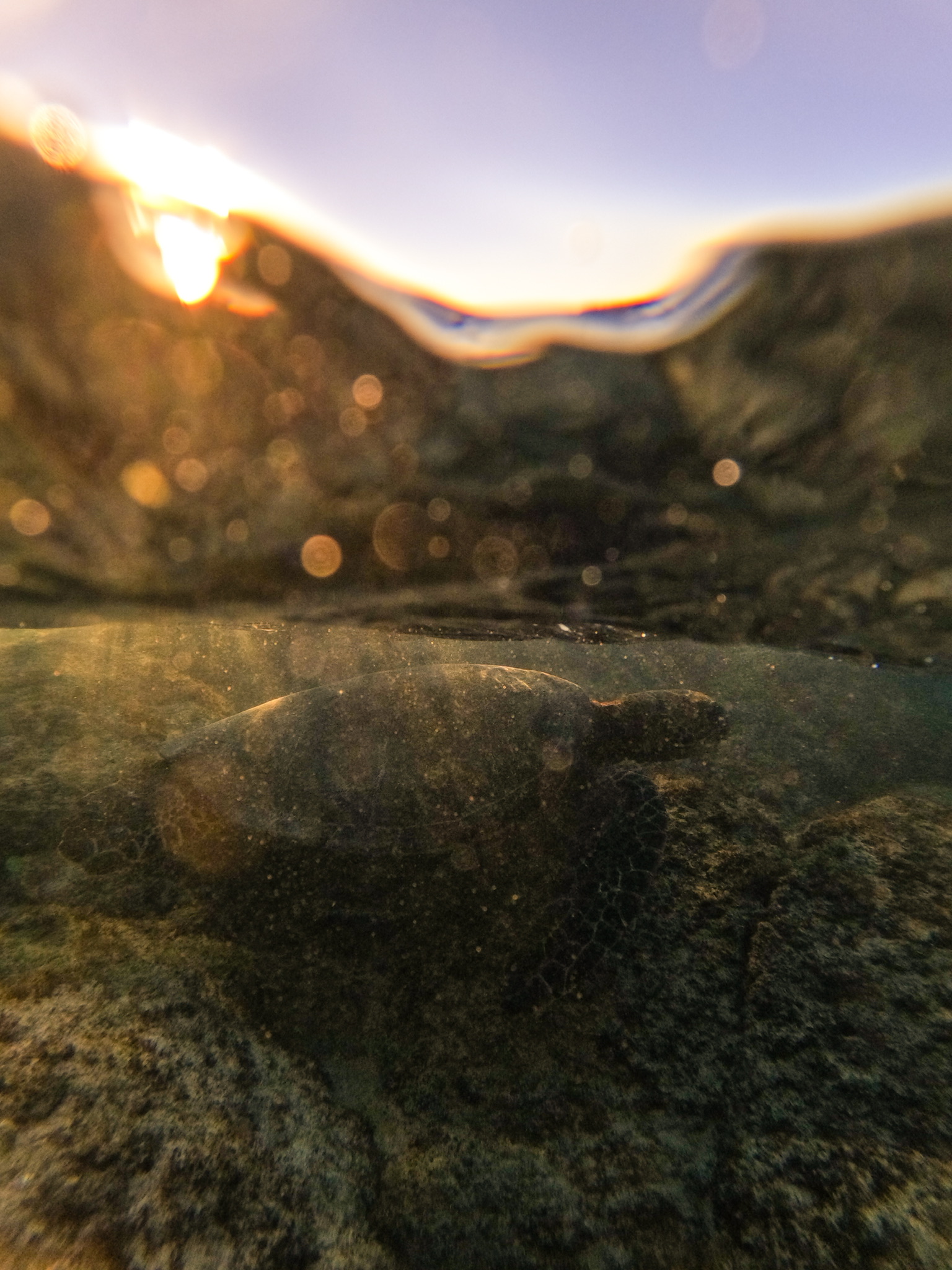 Primordial Waters