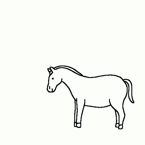 Apply your horse everyday