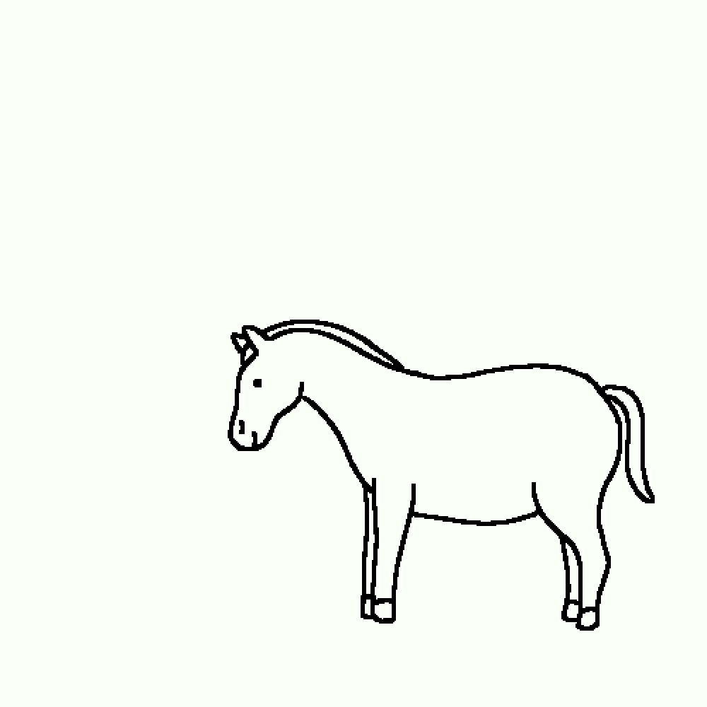Apply your horse everyday