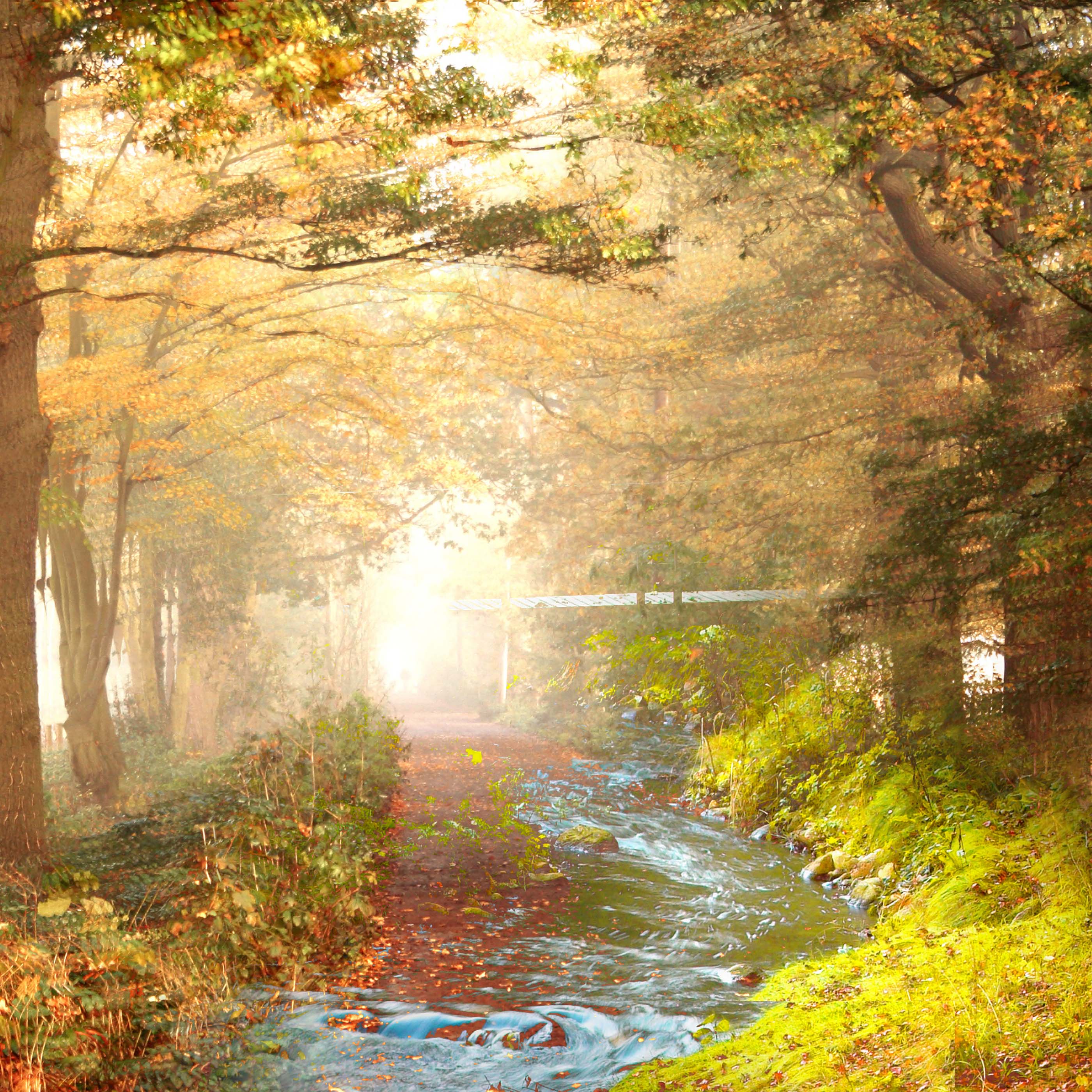 river