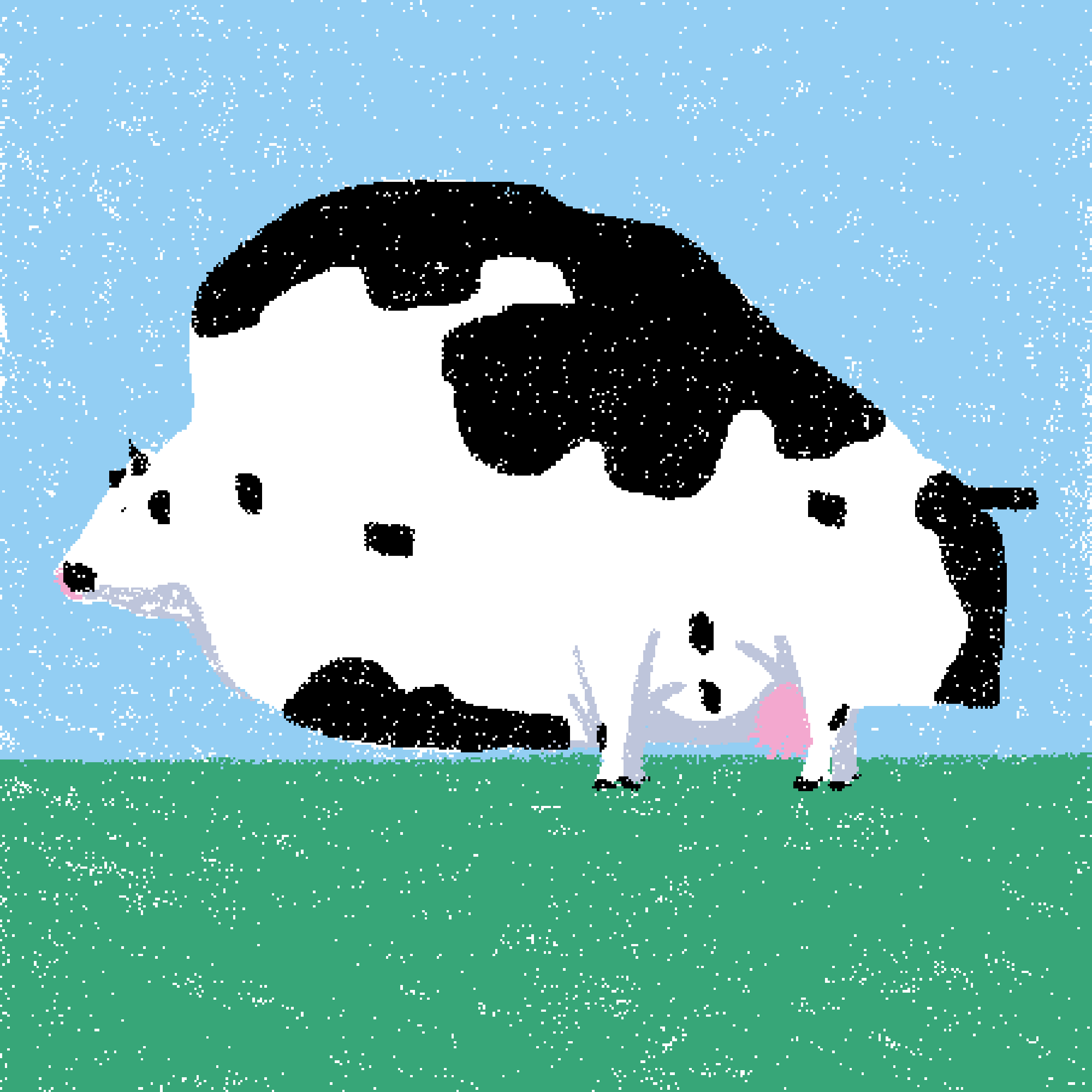 cow #109