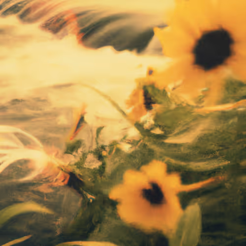 Tsunflower Chaos #23