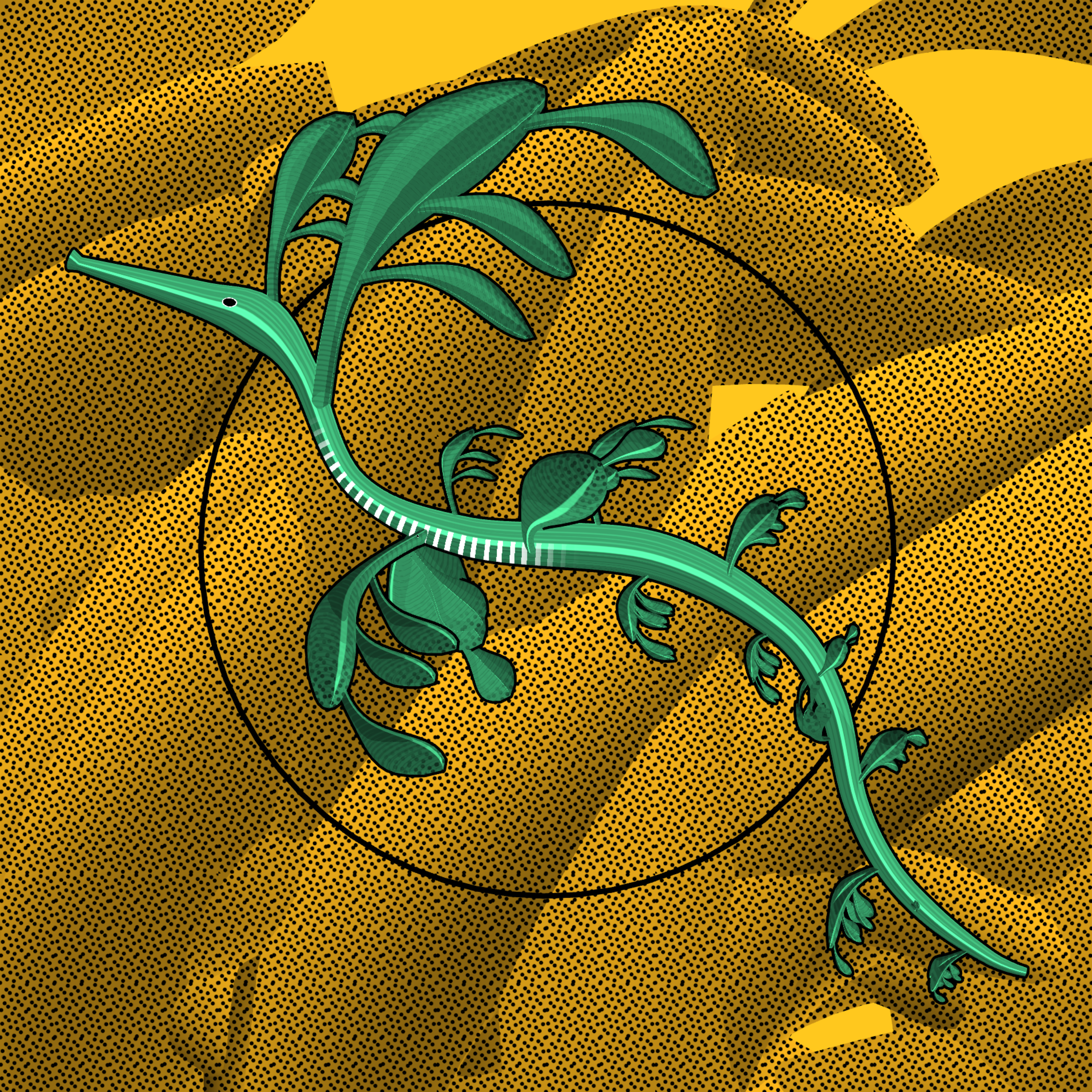 Seadragons #149