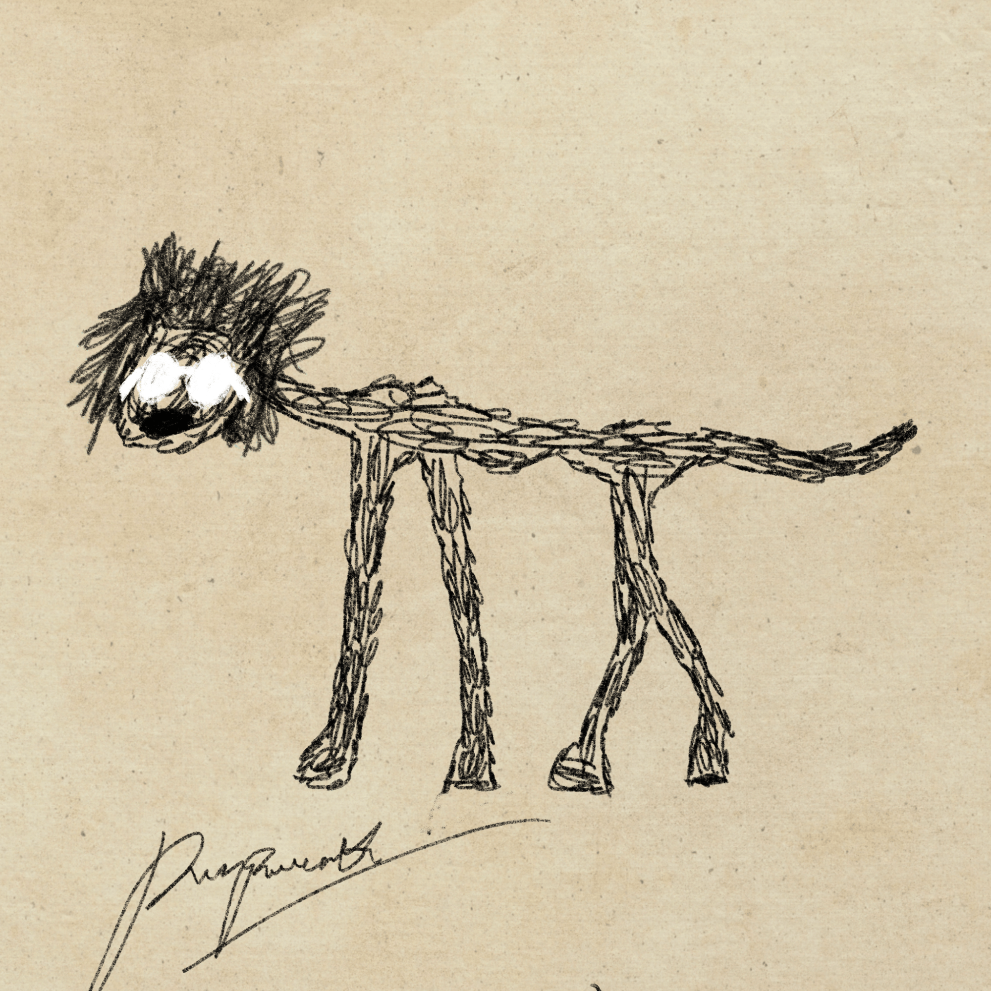 Pettametti #262