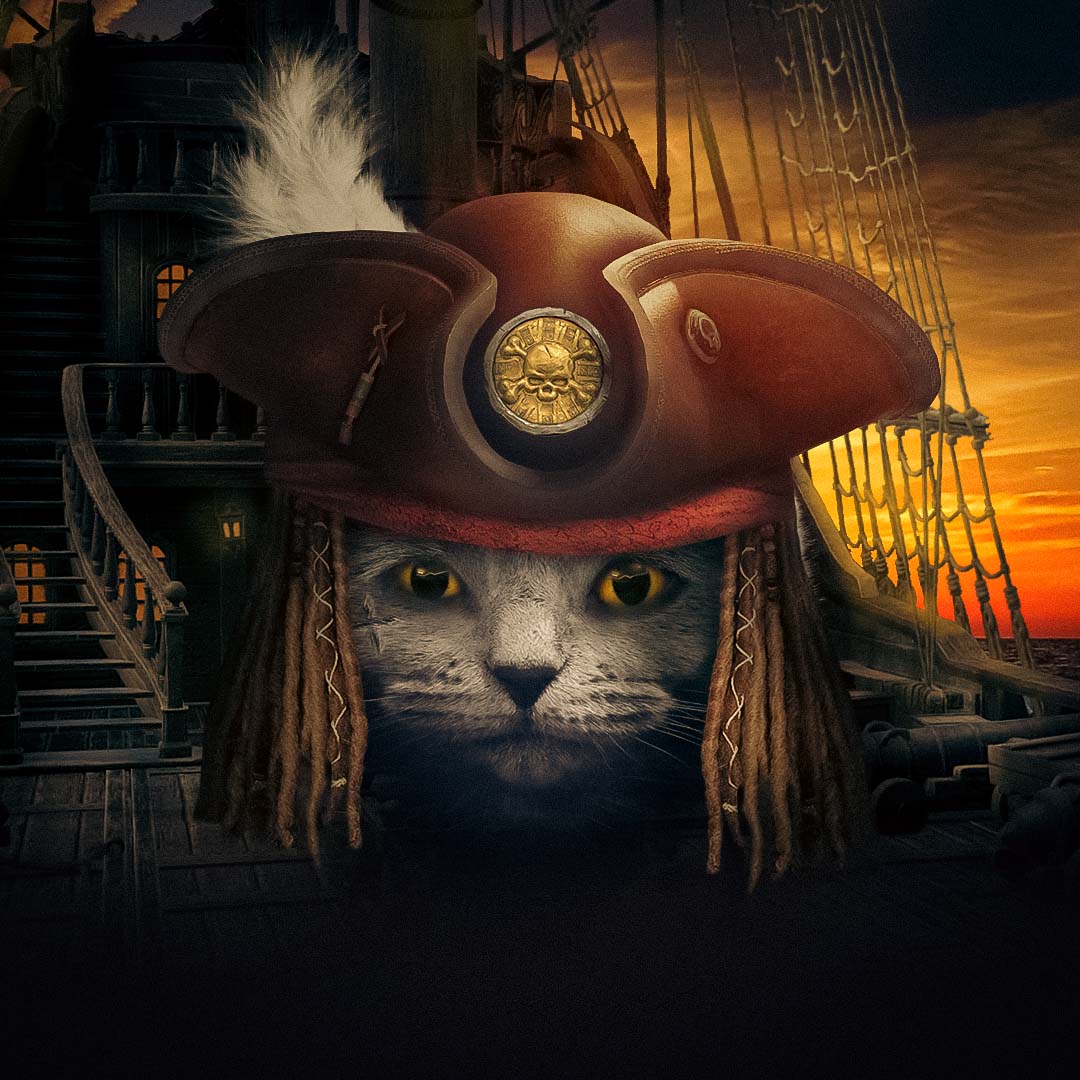Pirates of the Caribbean #011