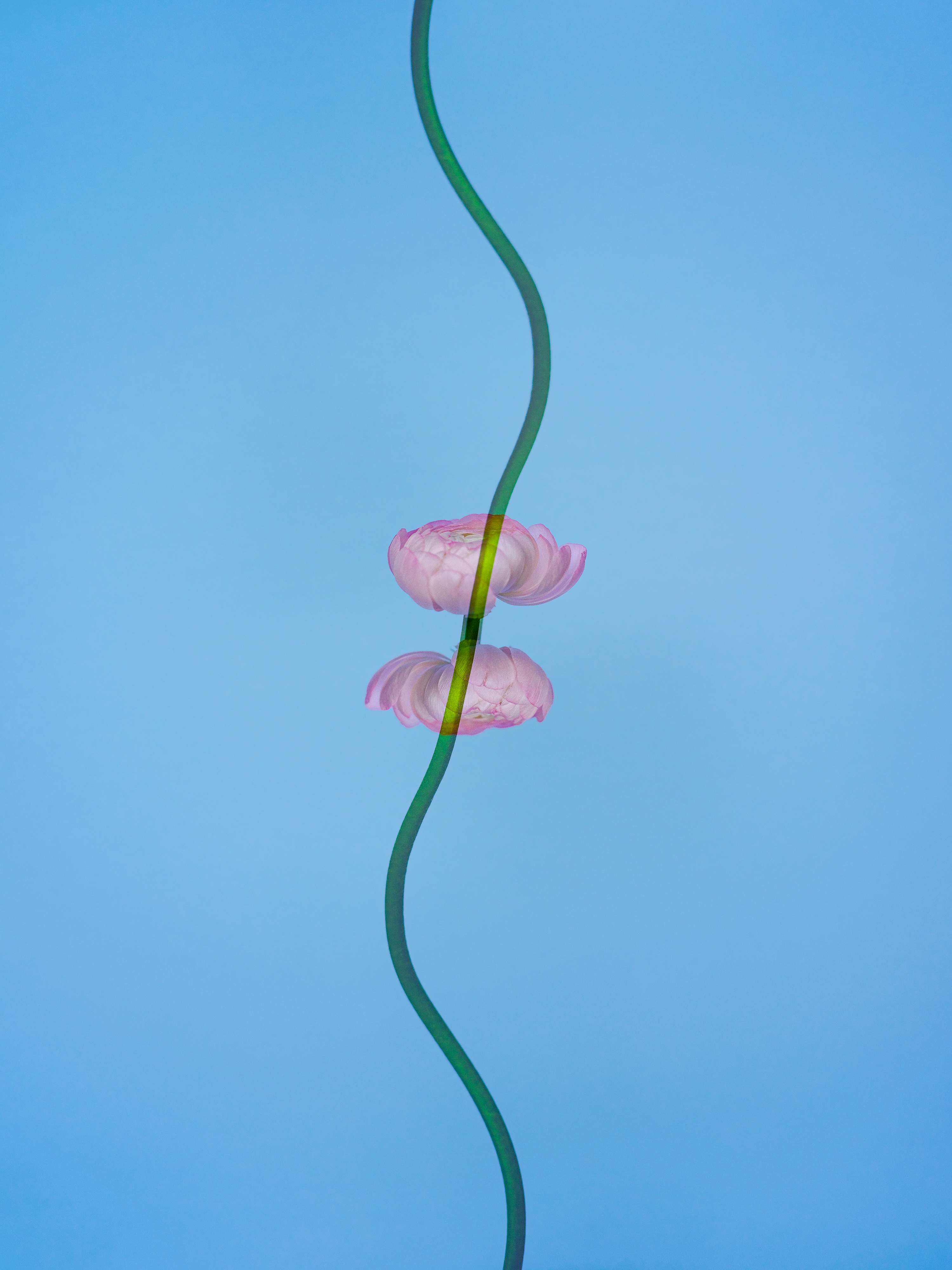 Life Is Not A Straight Line