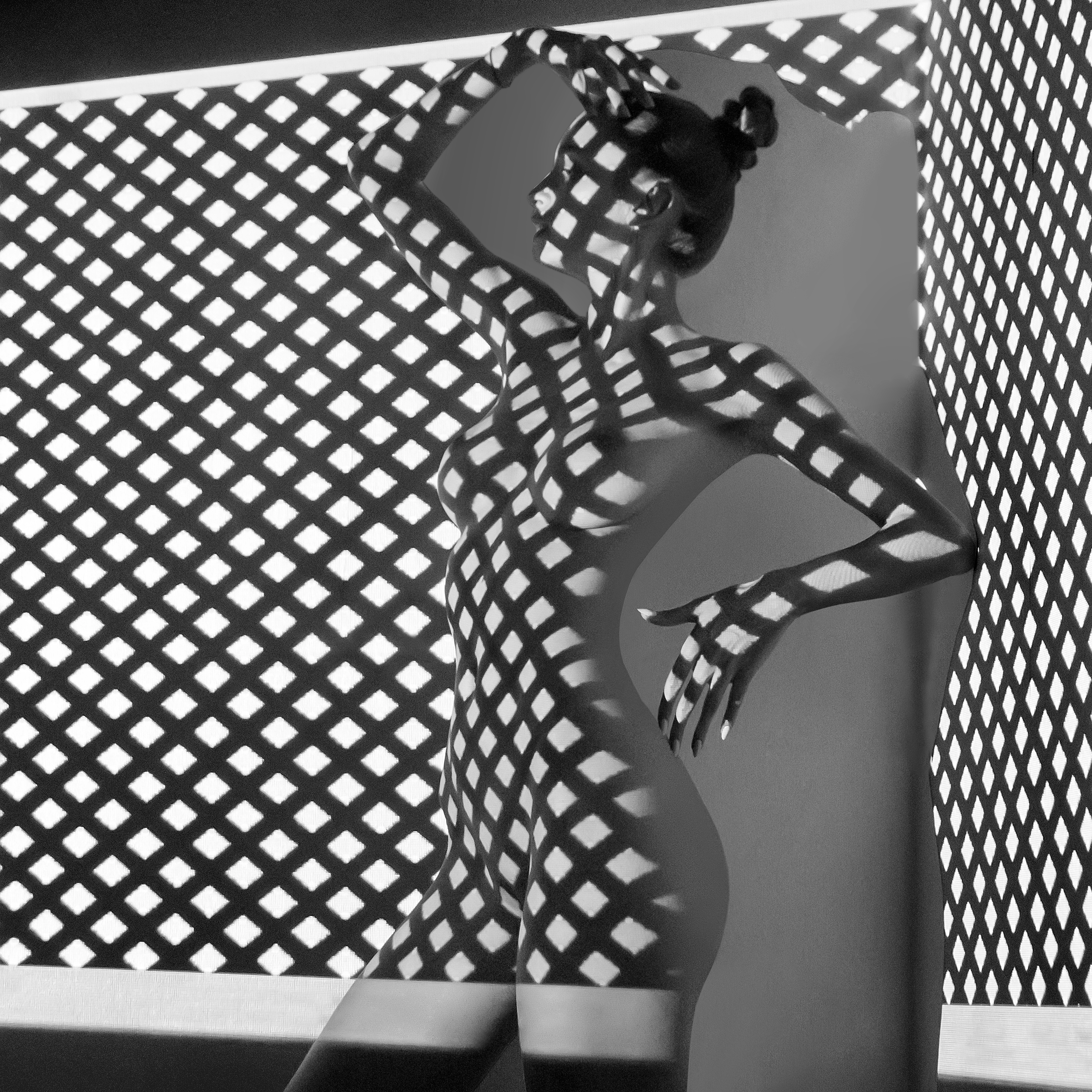 Shadows #54