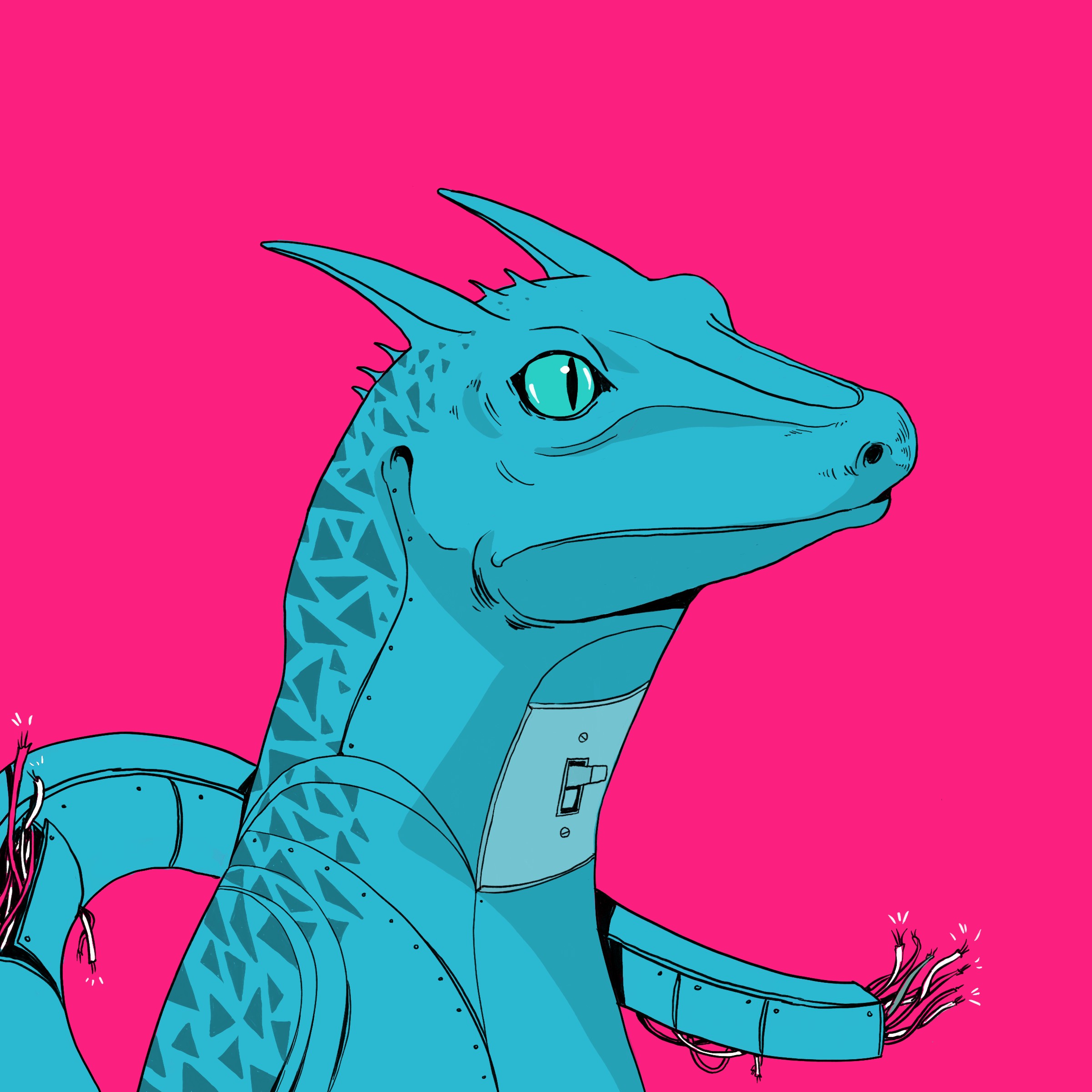 Lizard #1640