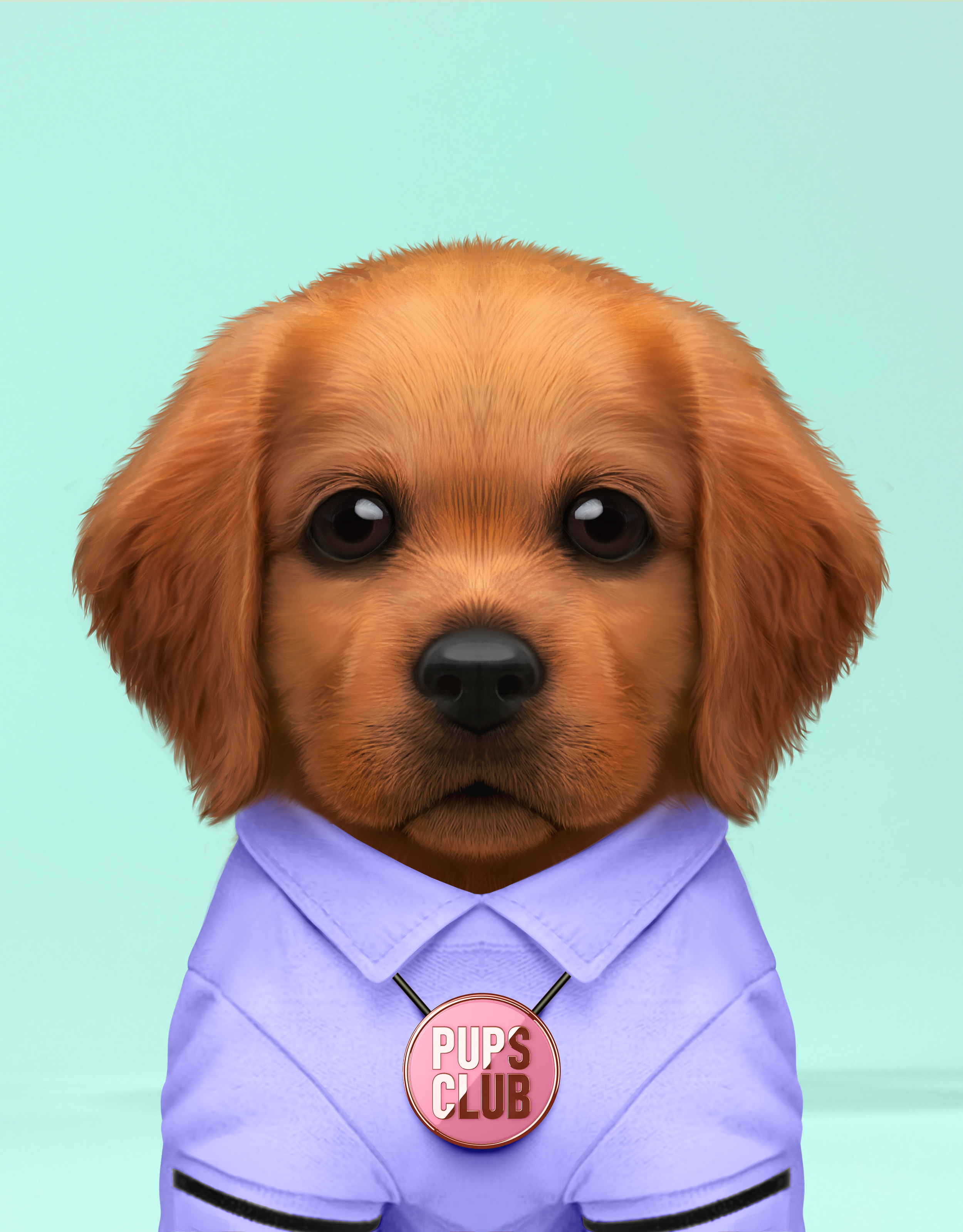 Pup #7480
