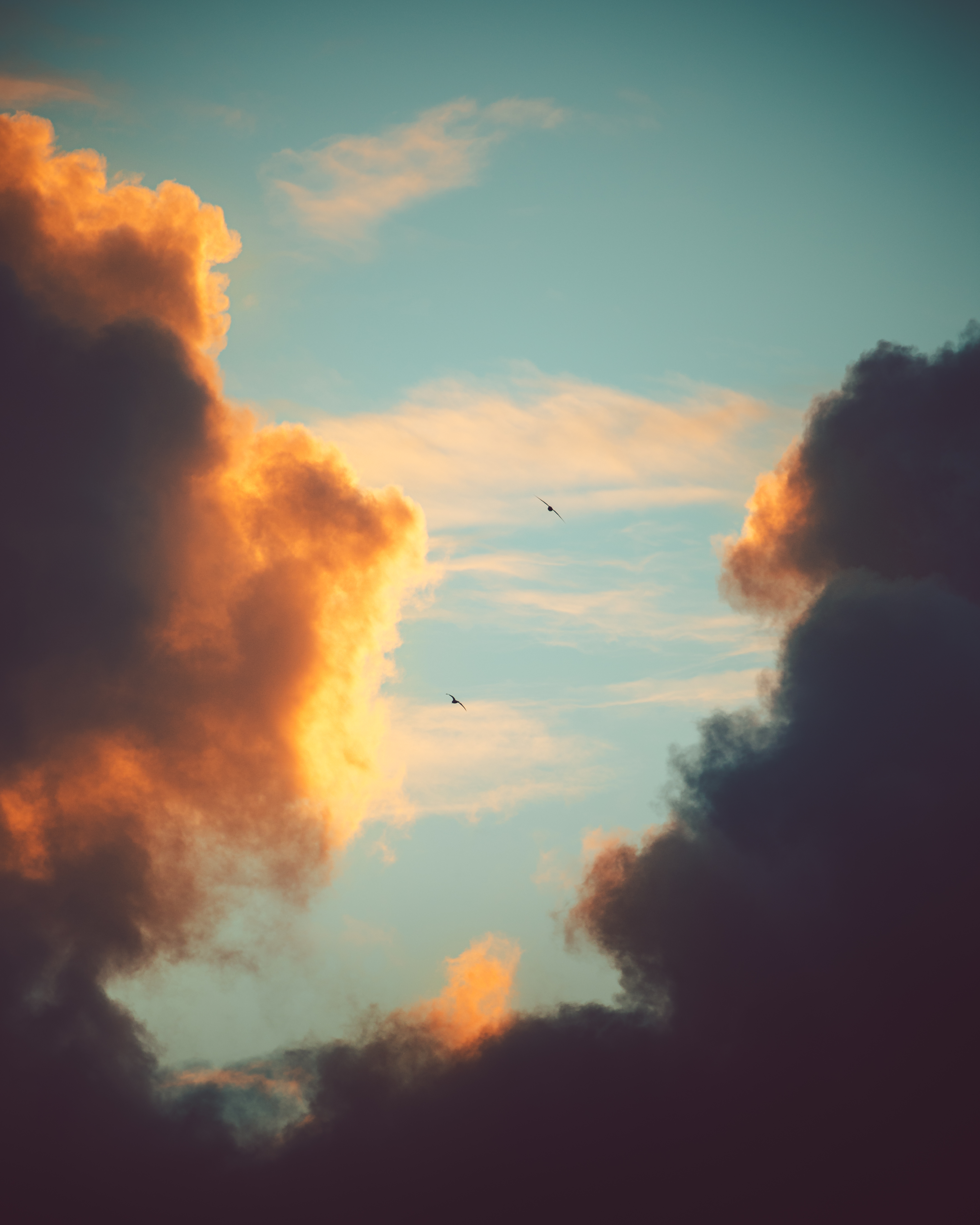 Oh, to Soar with You Again #45