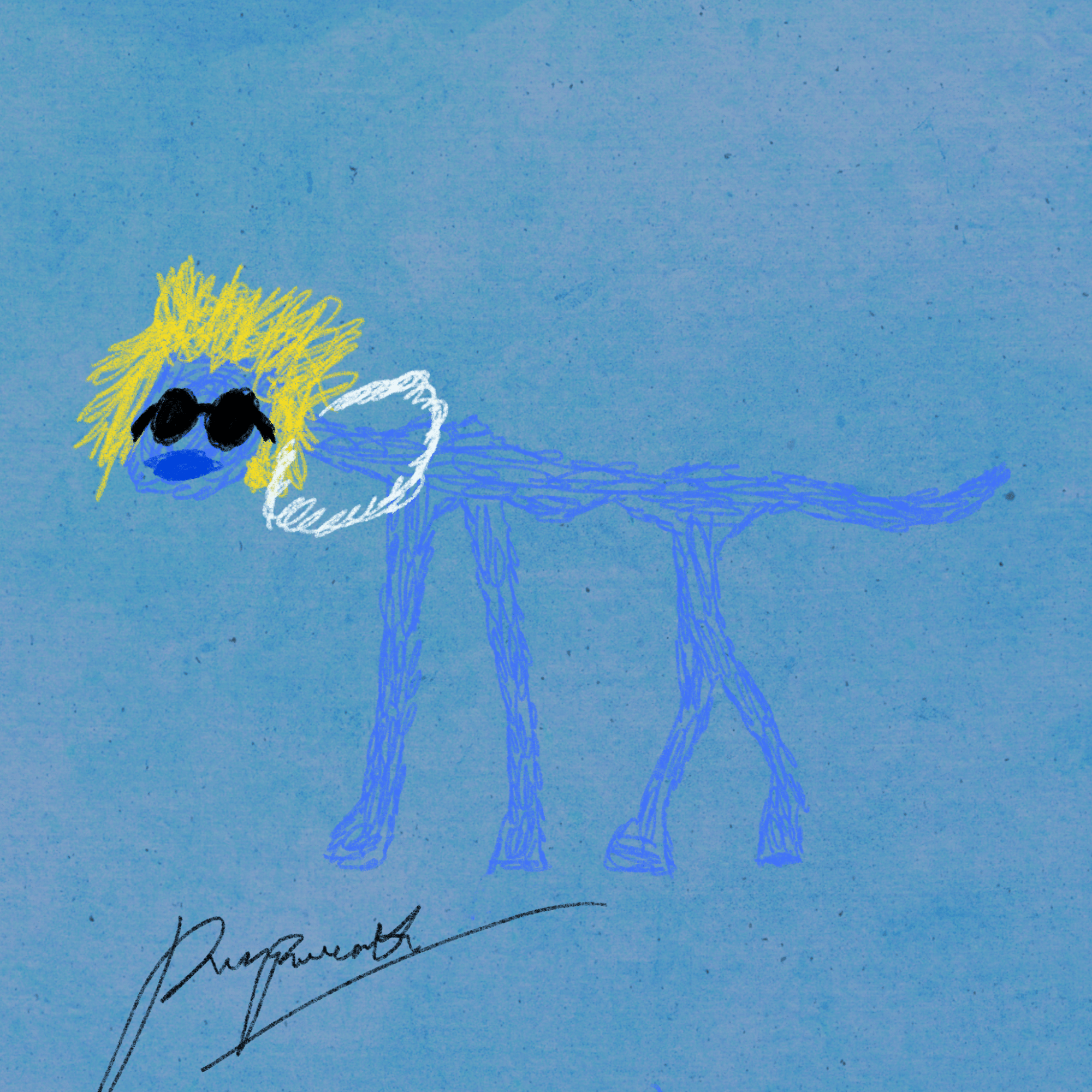 Pettametti #111
