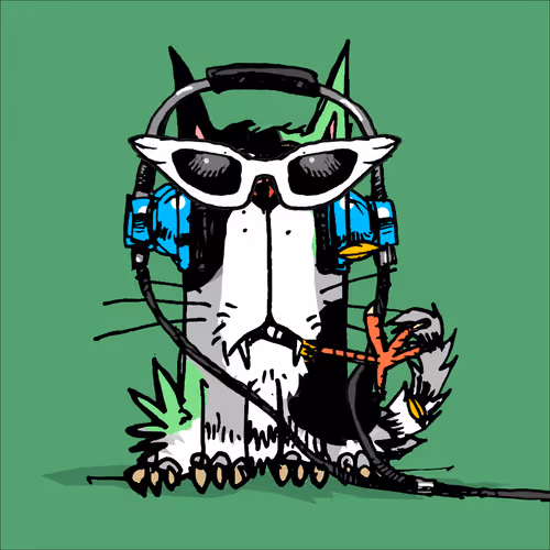 My Scruffy Cat 1062