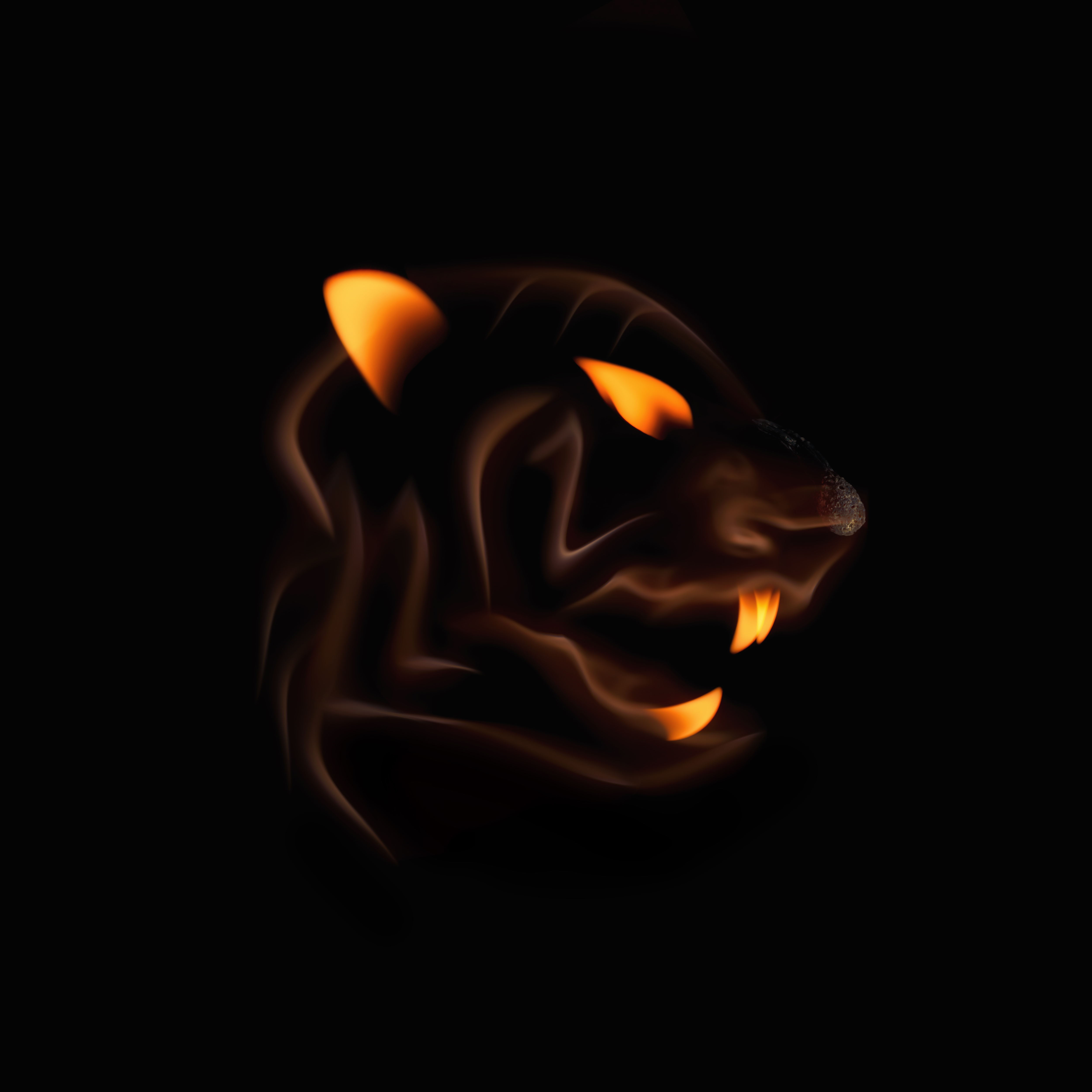 #27 - Tiger