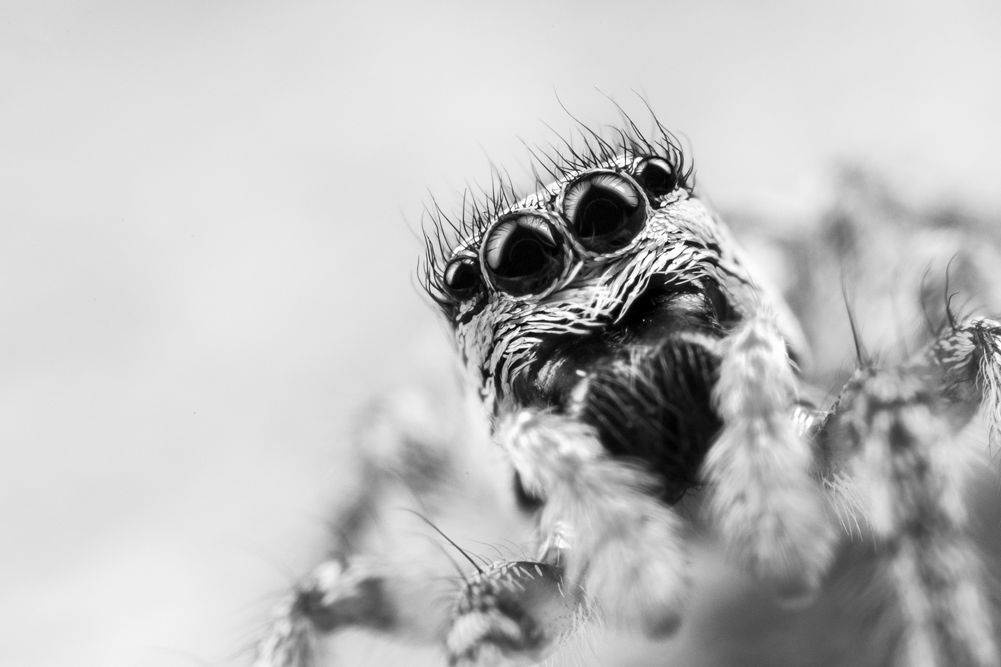The eyes have it! #12/30