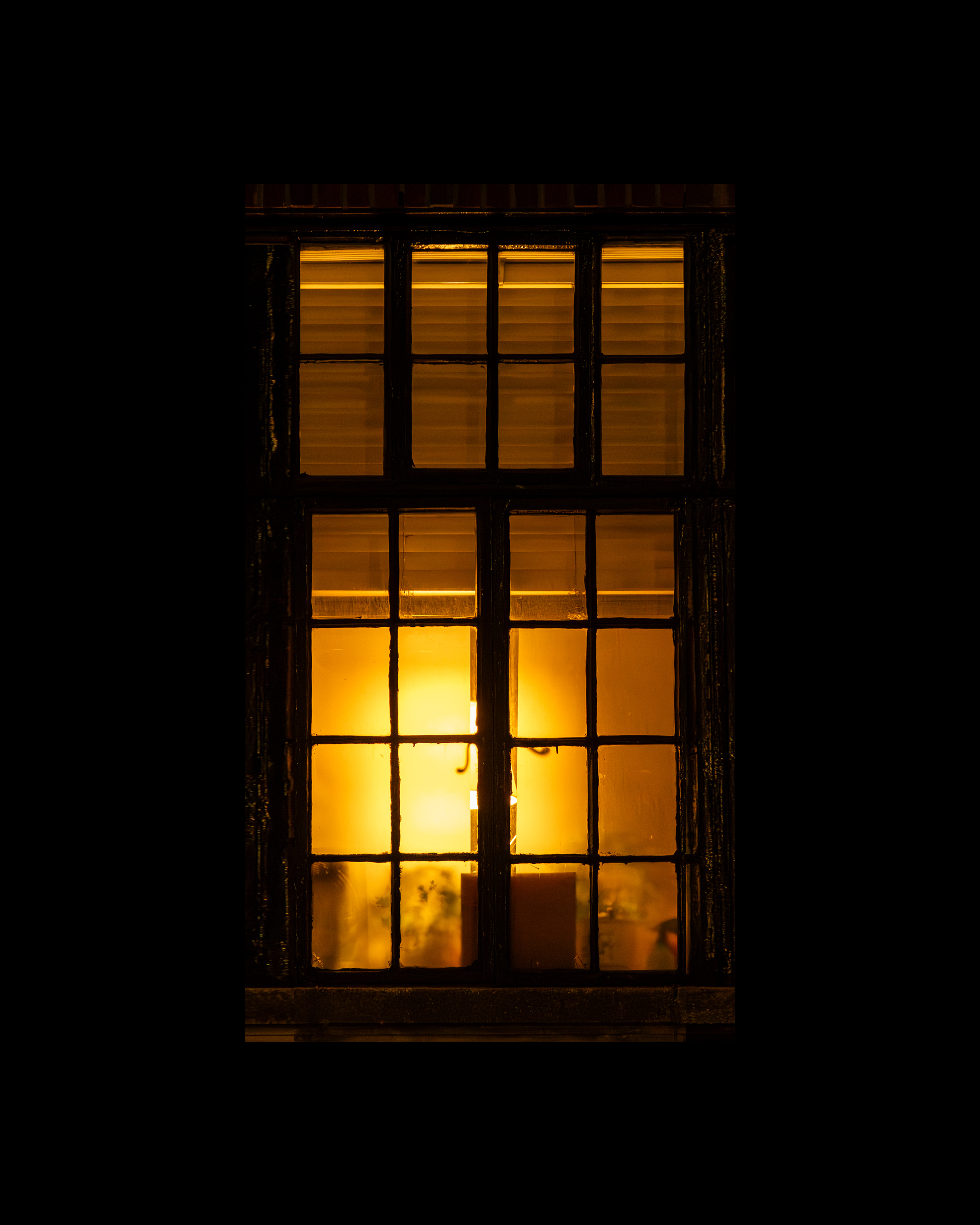 WINDOW 786