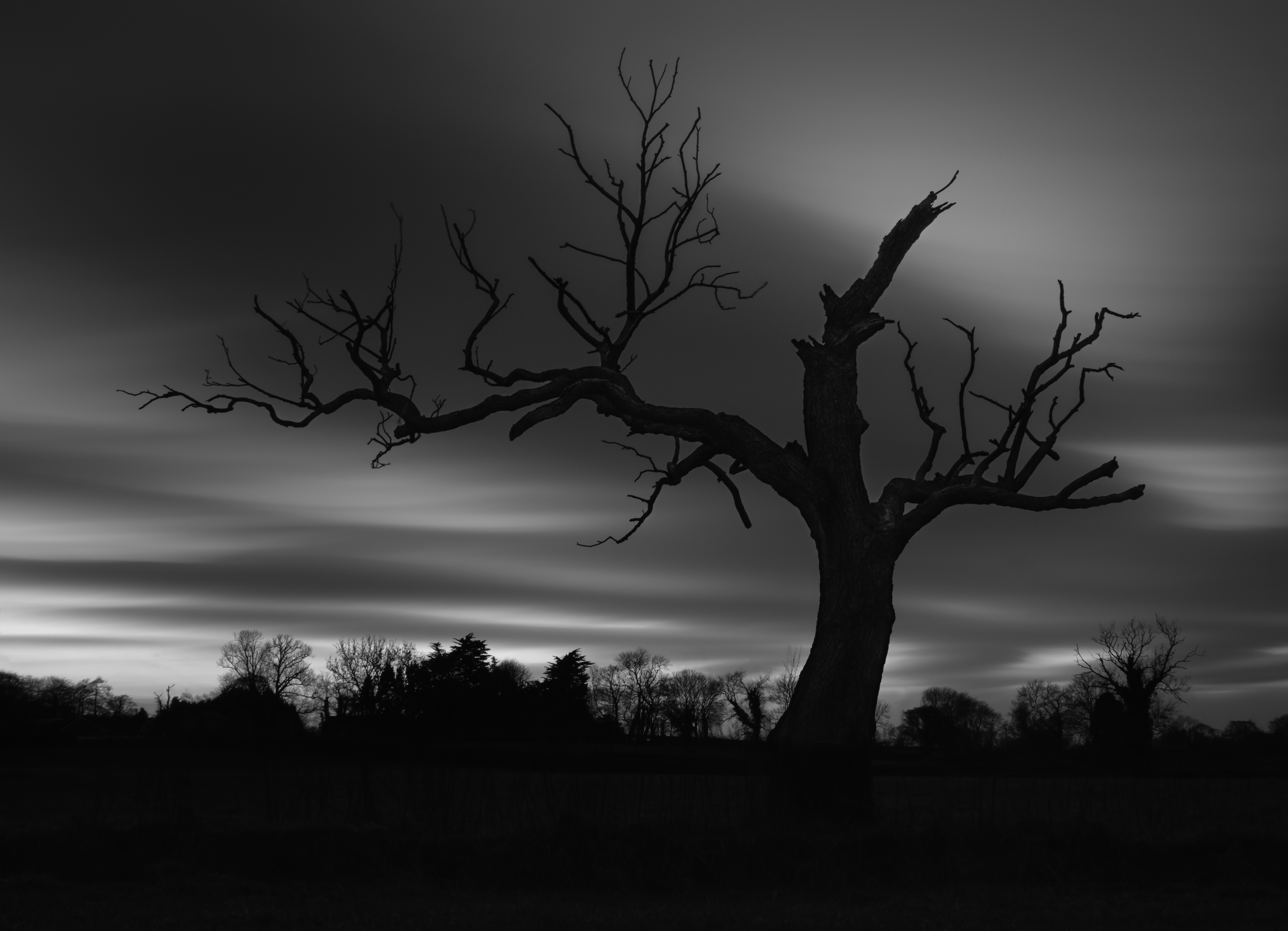 The Withering