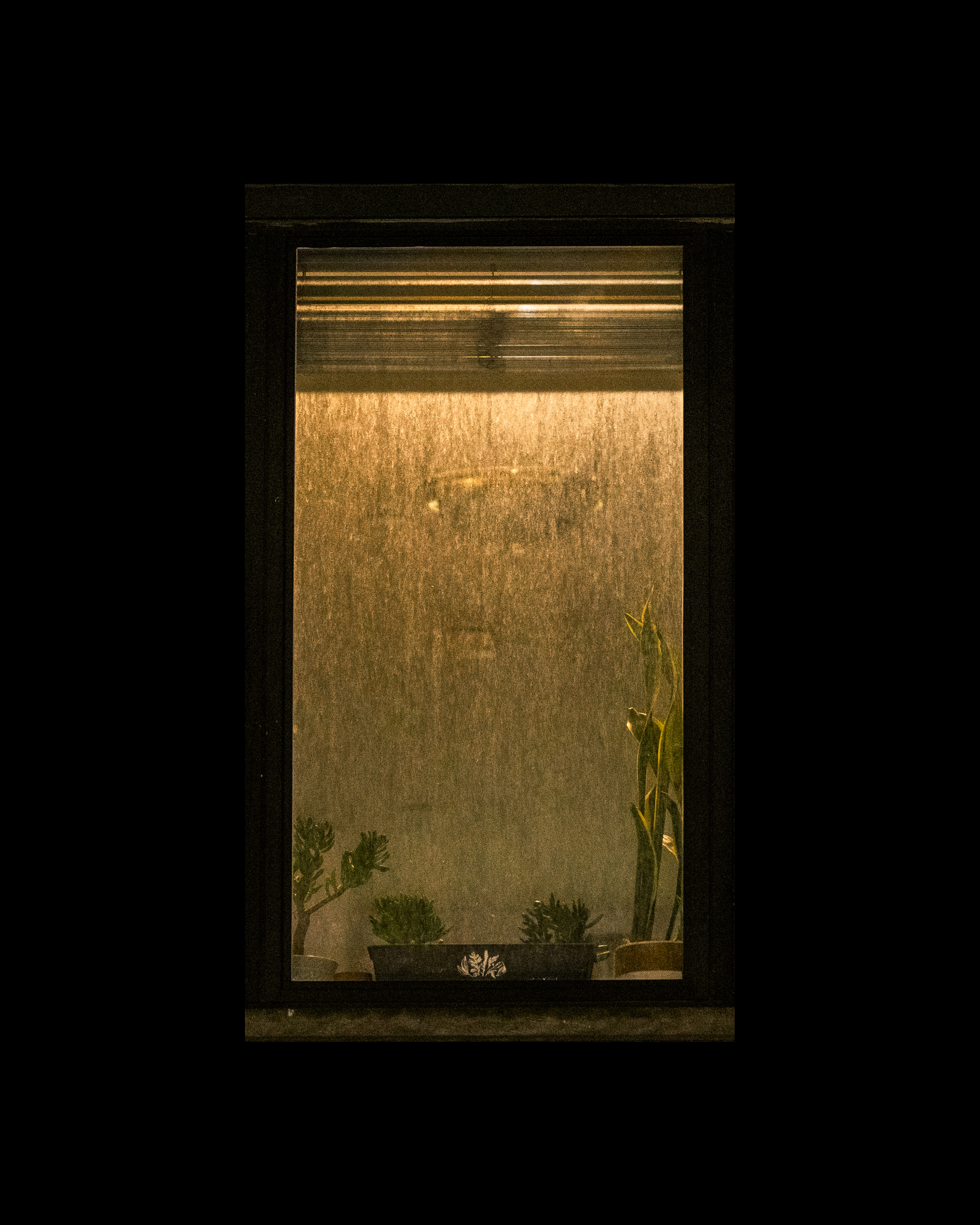 WINDOW 893