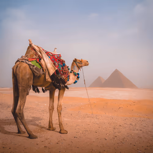 #1 Great Pyramids Of Giza
