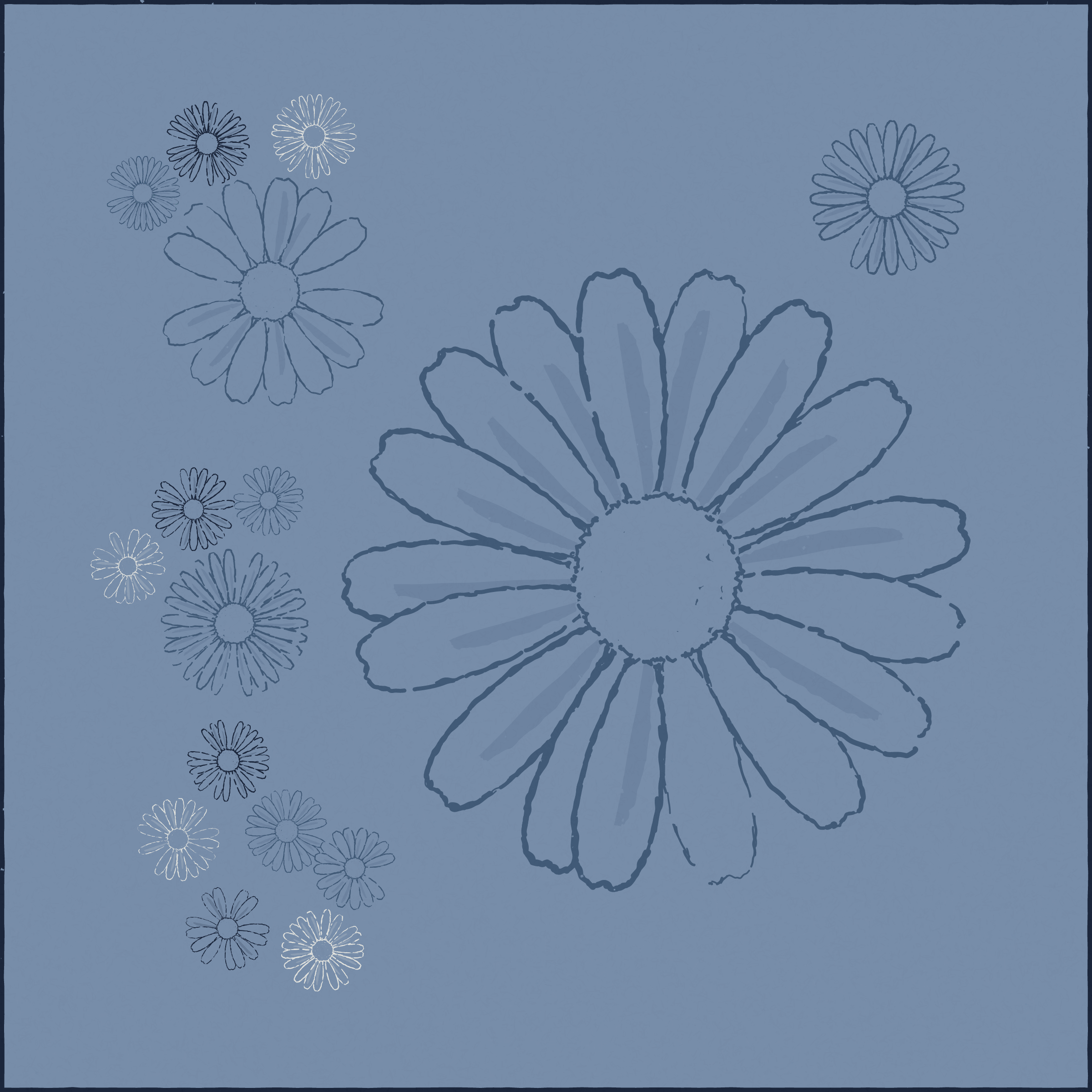 Daisies #24