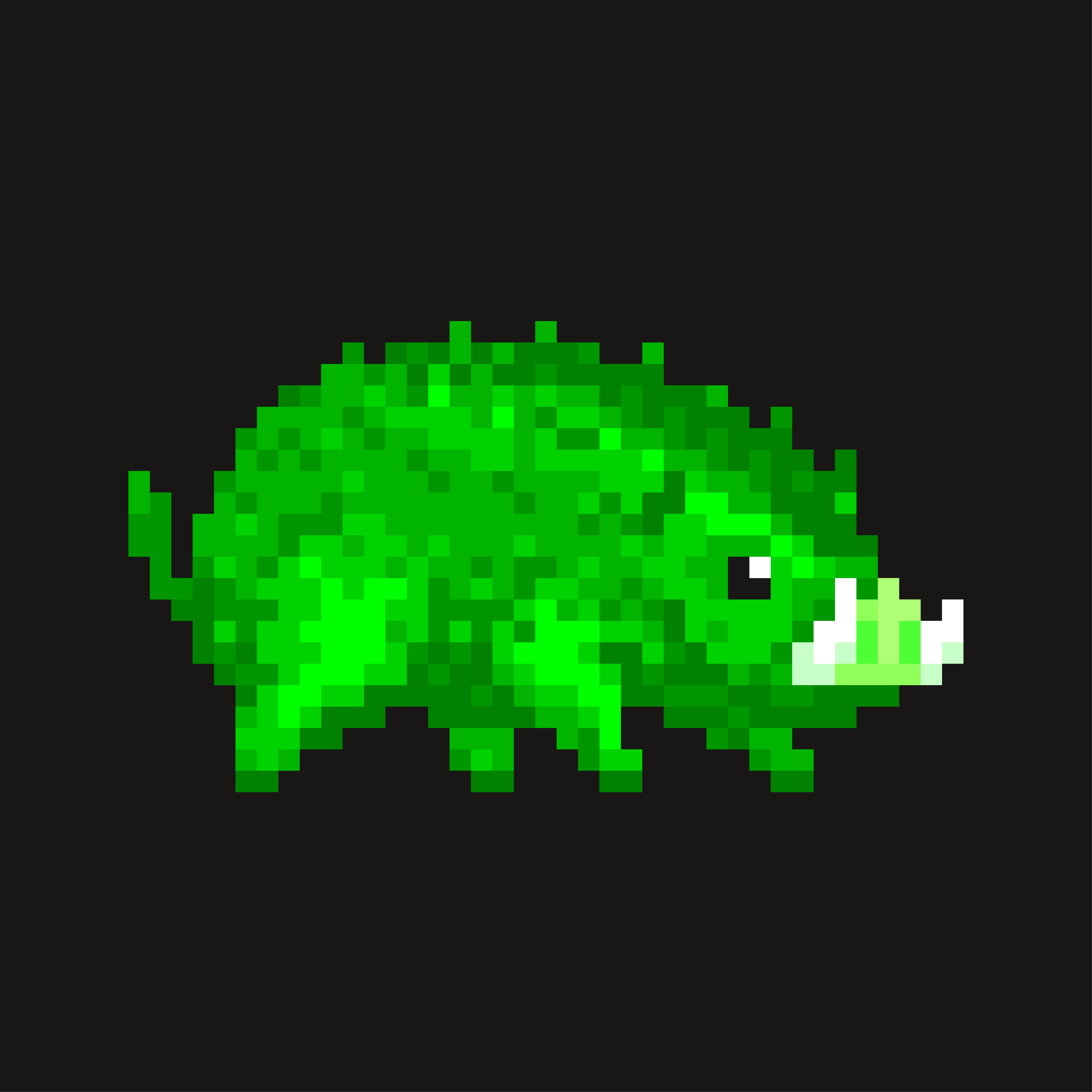 SaltPig #19