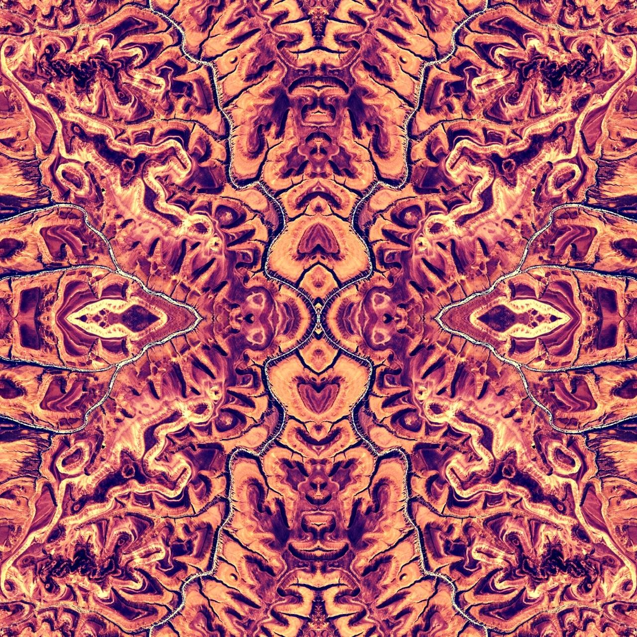 Seed Image I